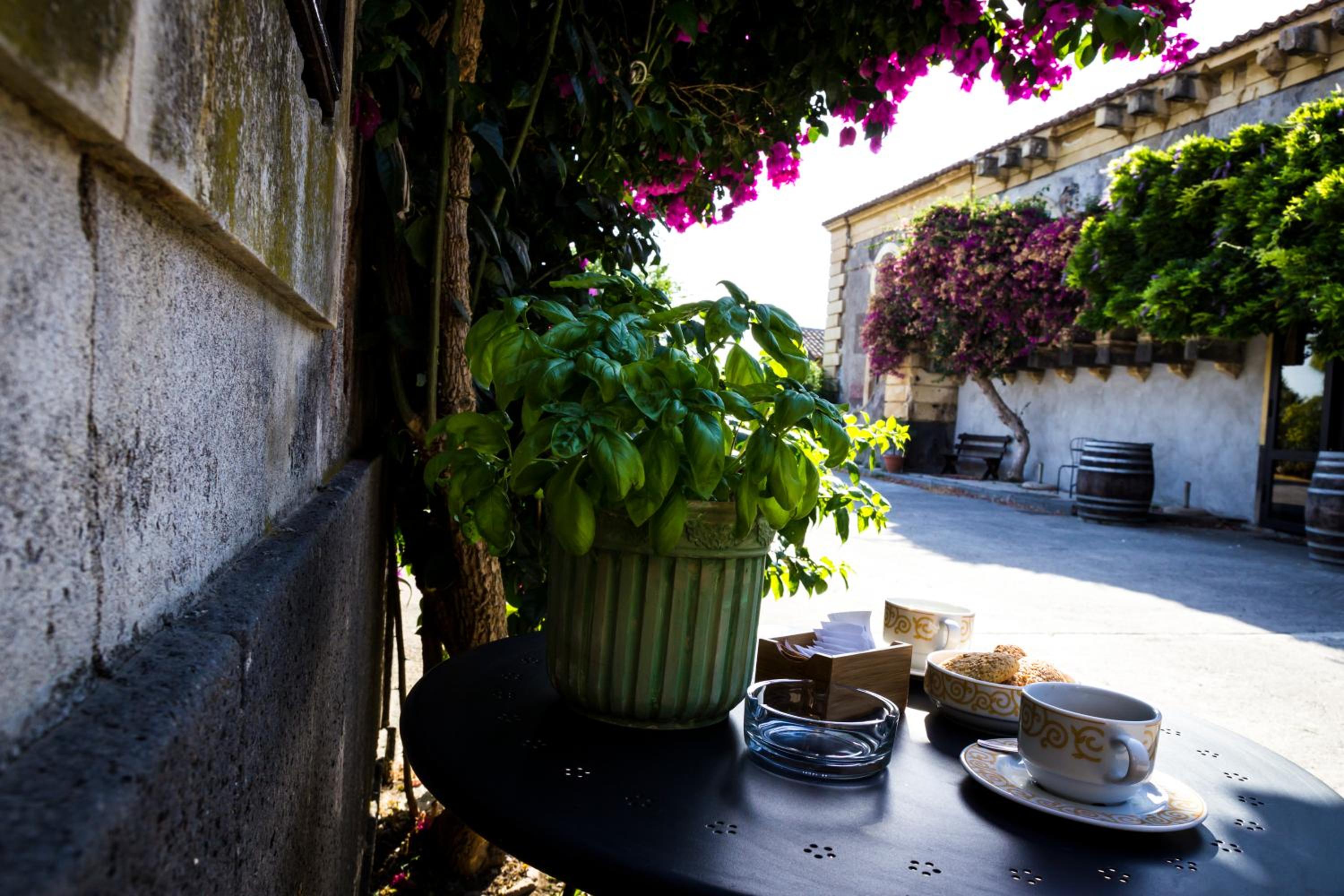 Suite - Photo 23