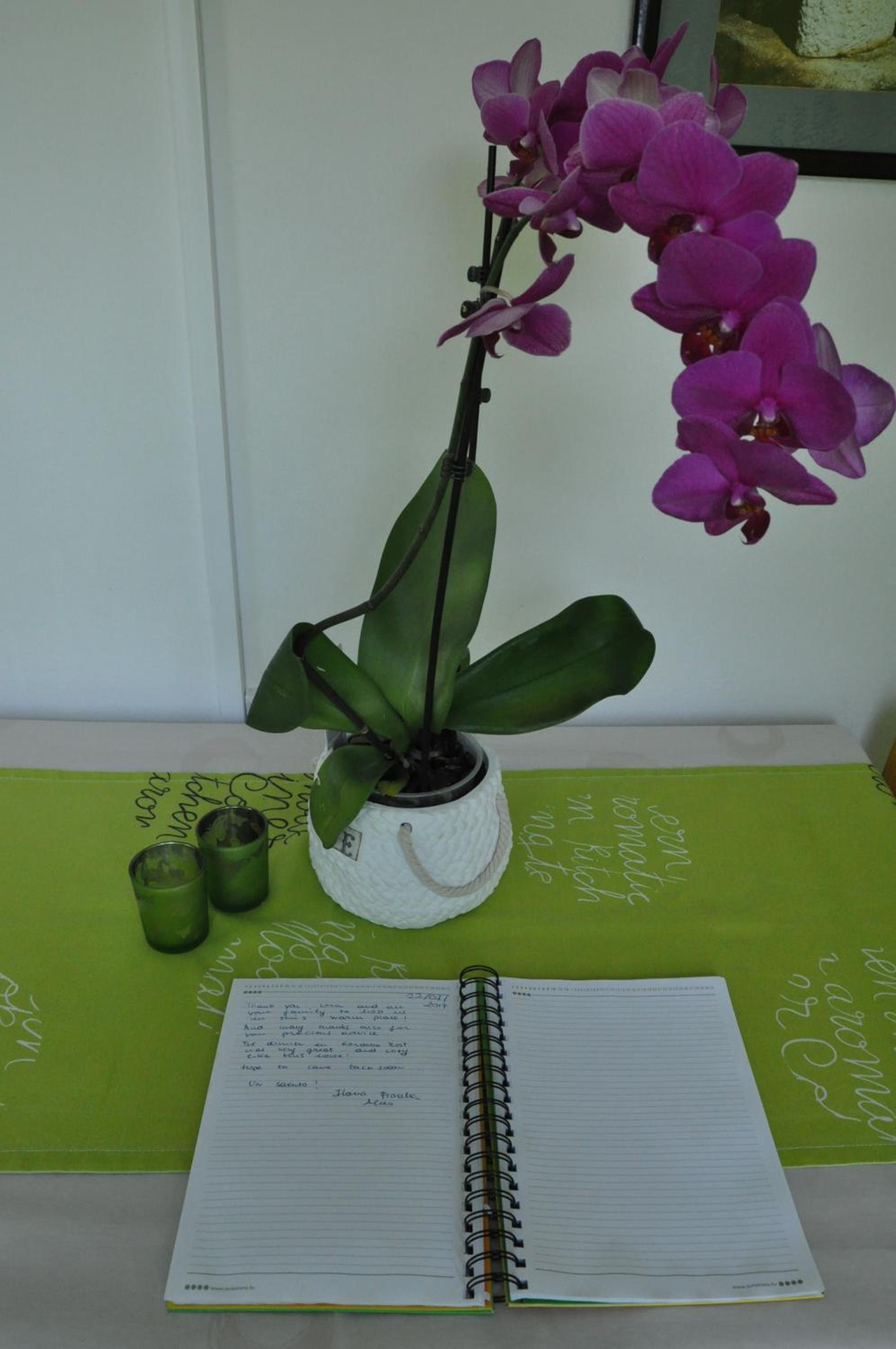 One-Bedroom Apartment - Photo 22