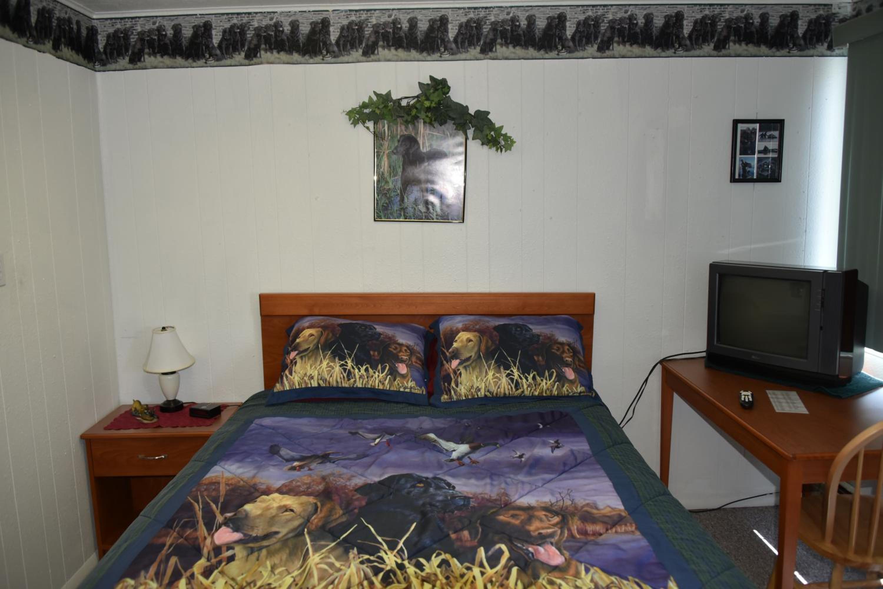 Standard Queen Room