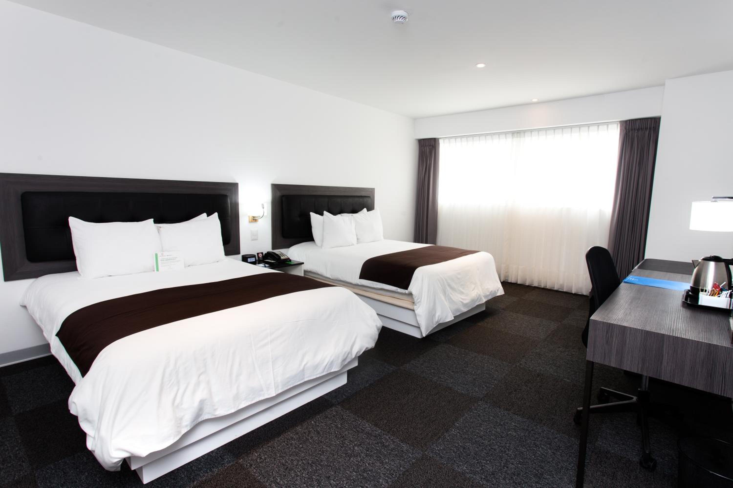 Standard Twin Room photo 2