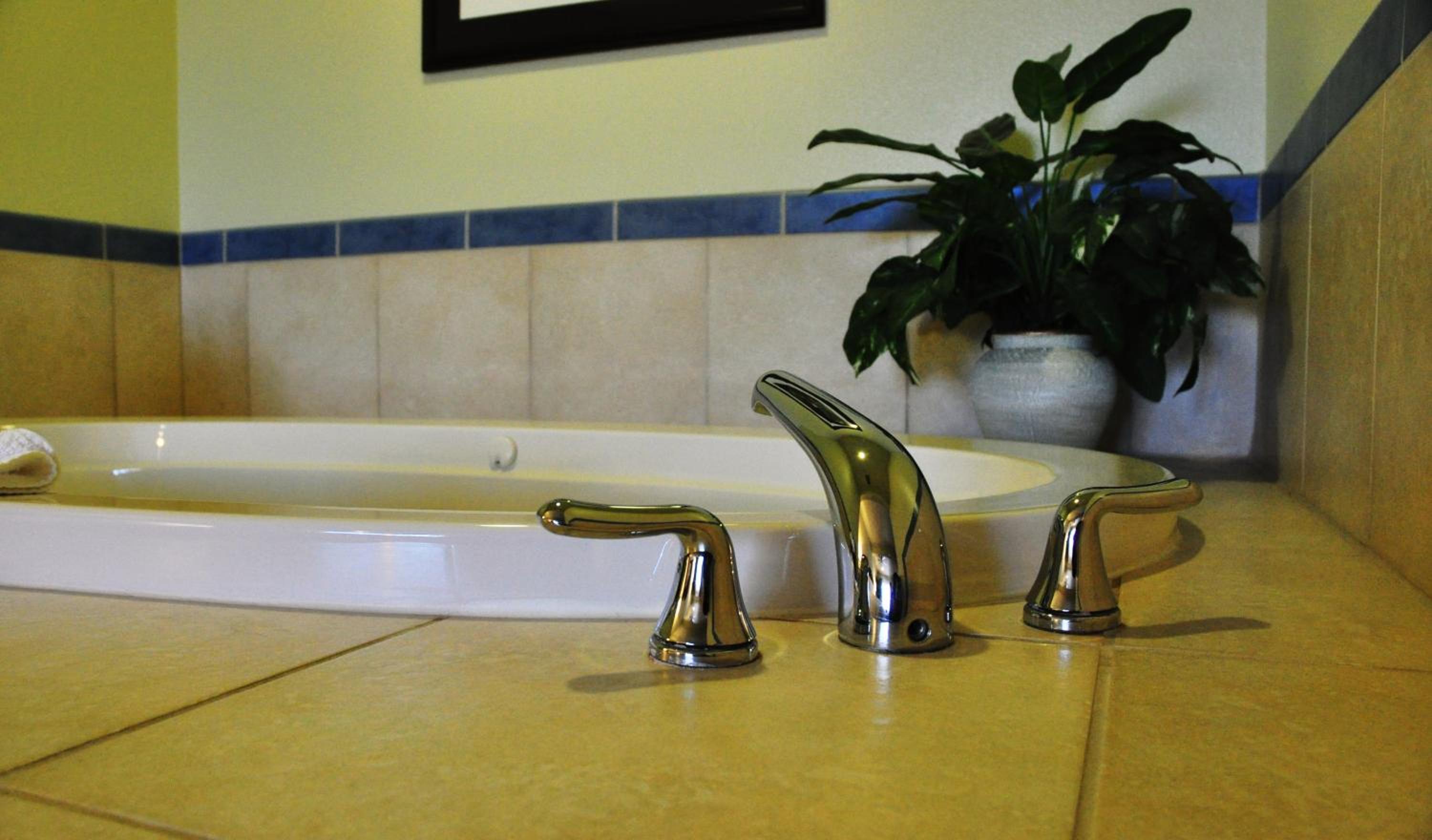 King Suite Sea View - Pet Friendly - Photo 5
