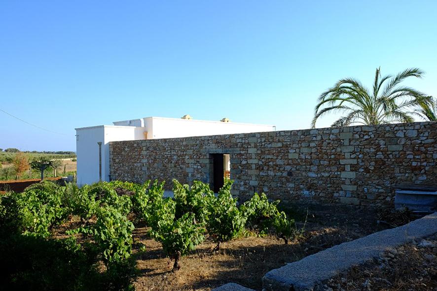 Suite with Garden View photo 2