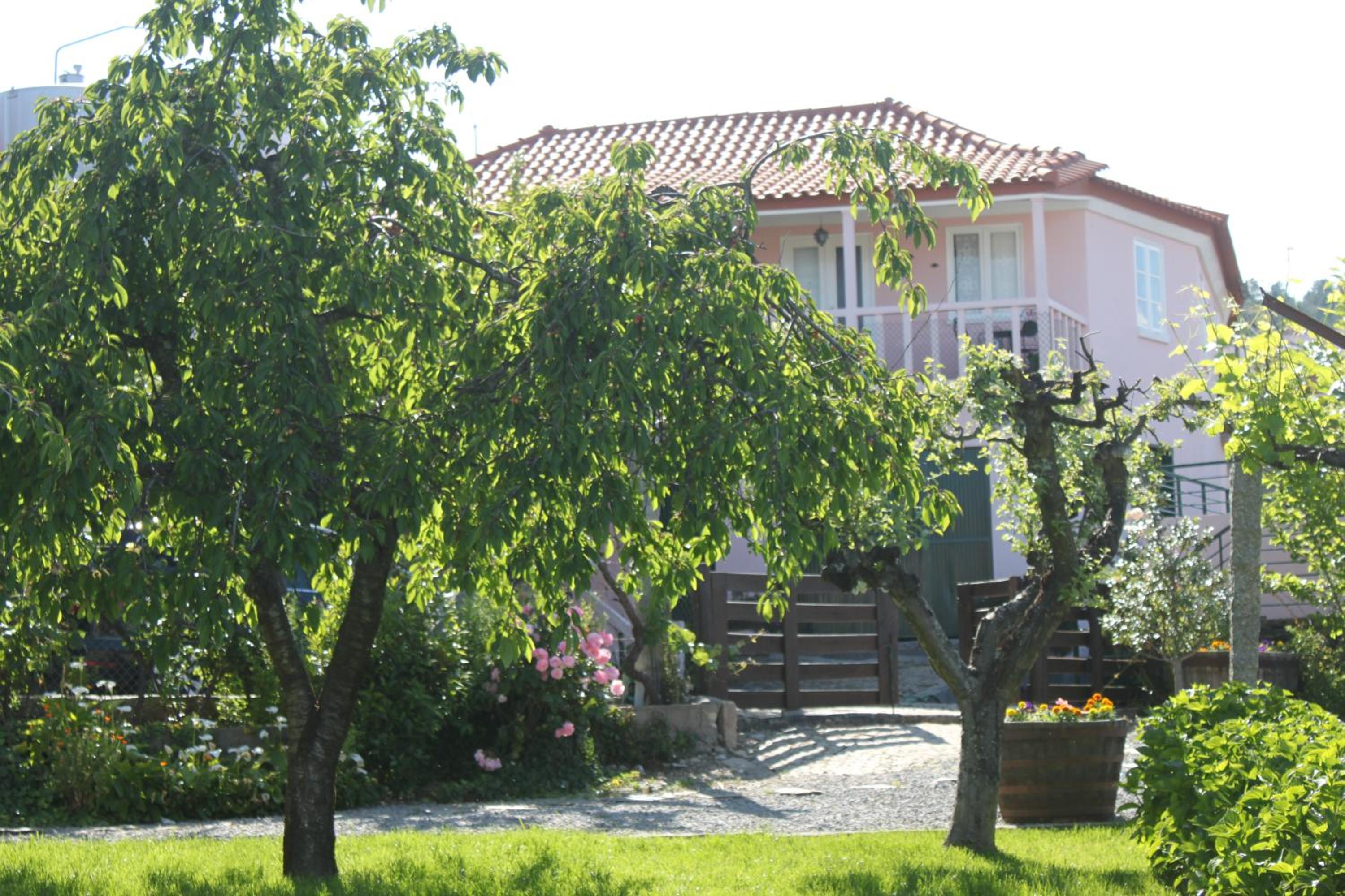 Five-Bedroom House photo 2