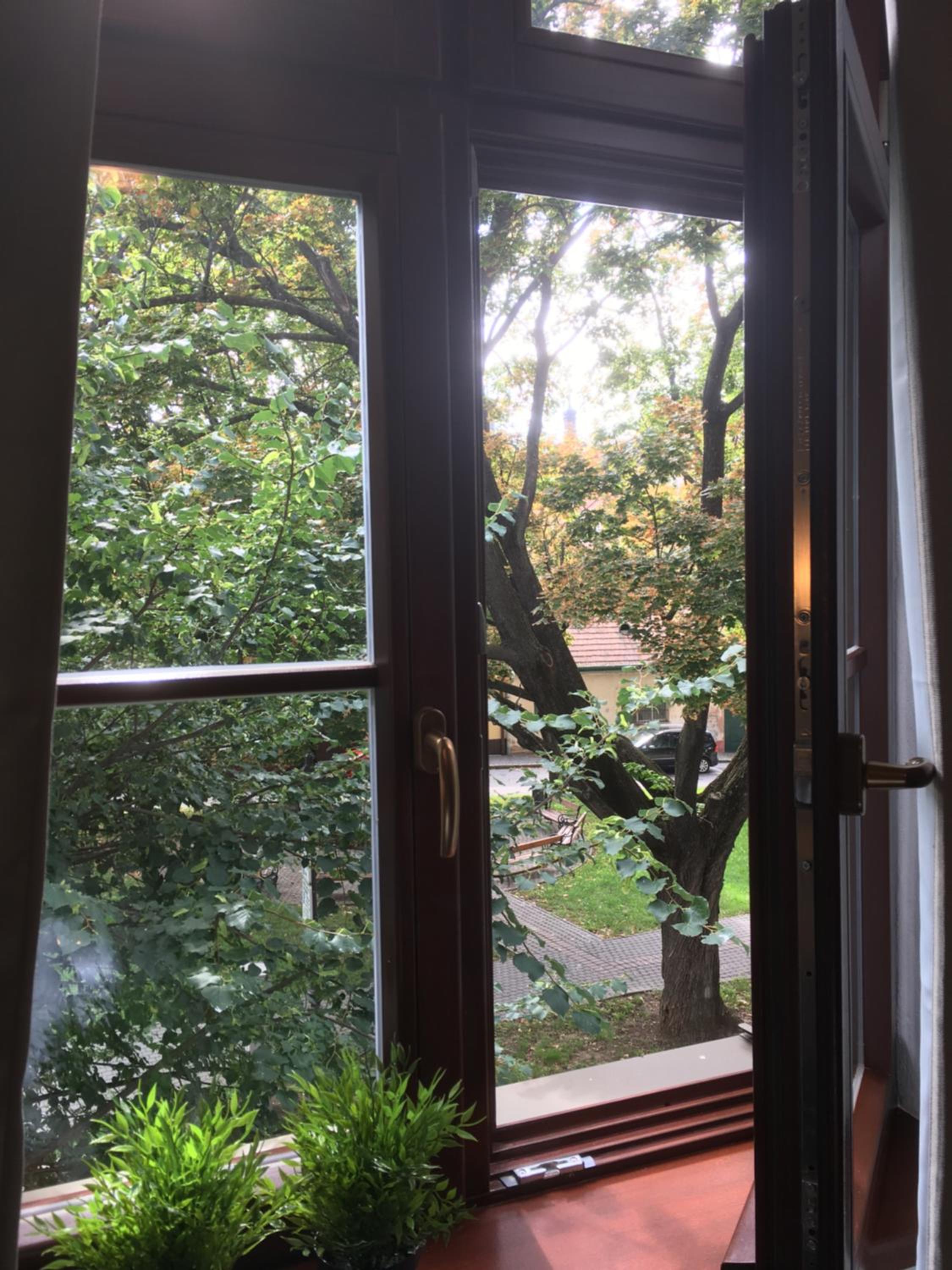 Standard Double Room - Photo 6