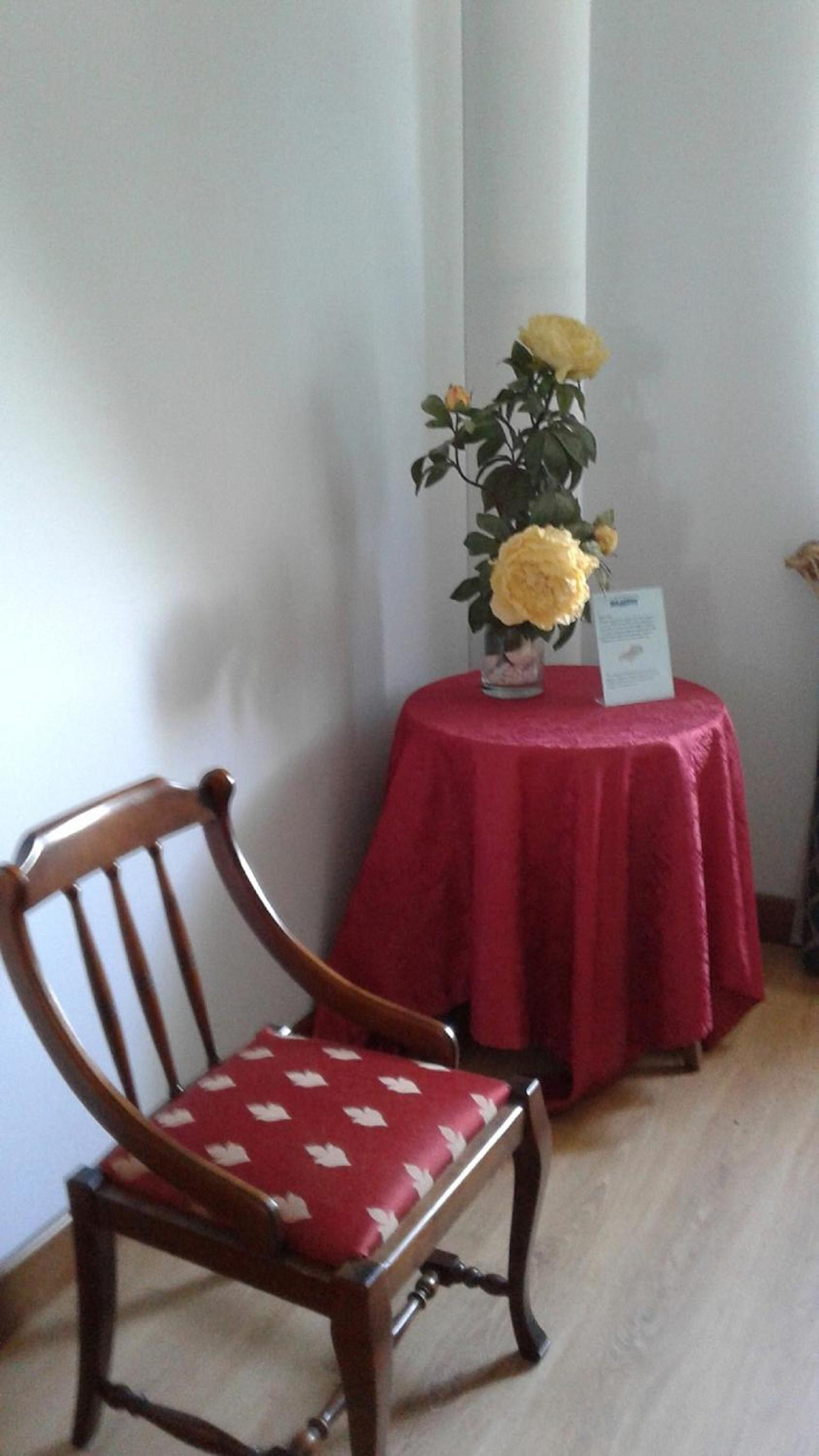 Large Single Room photo 2