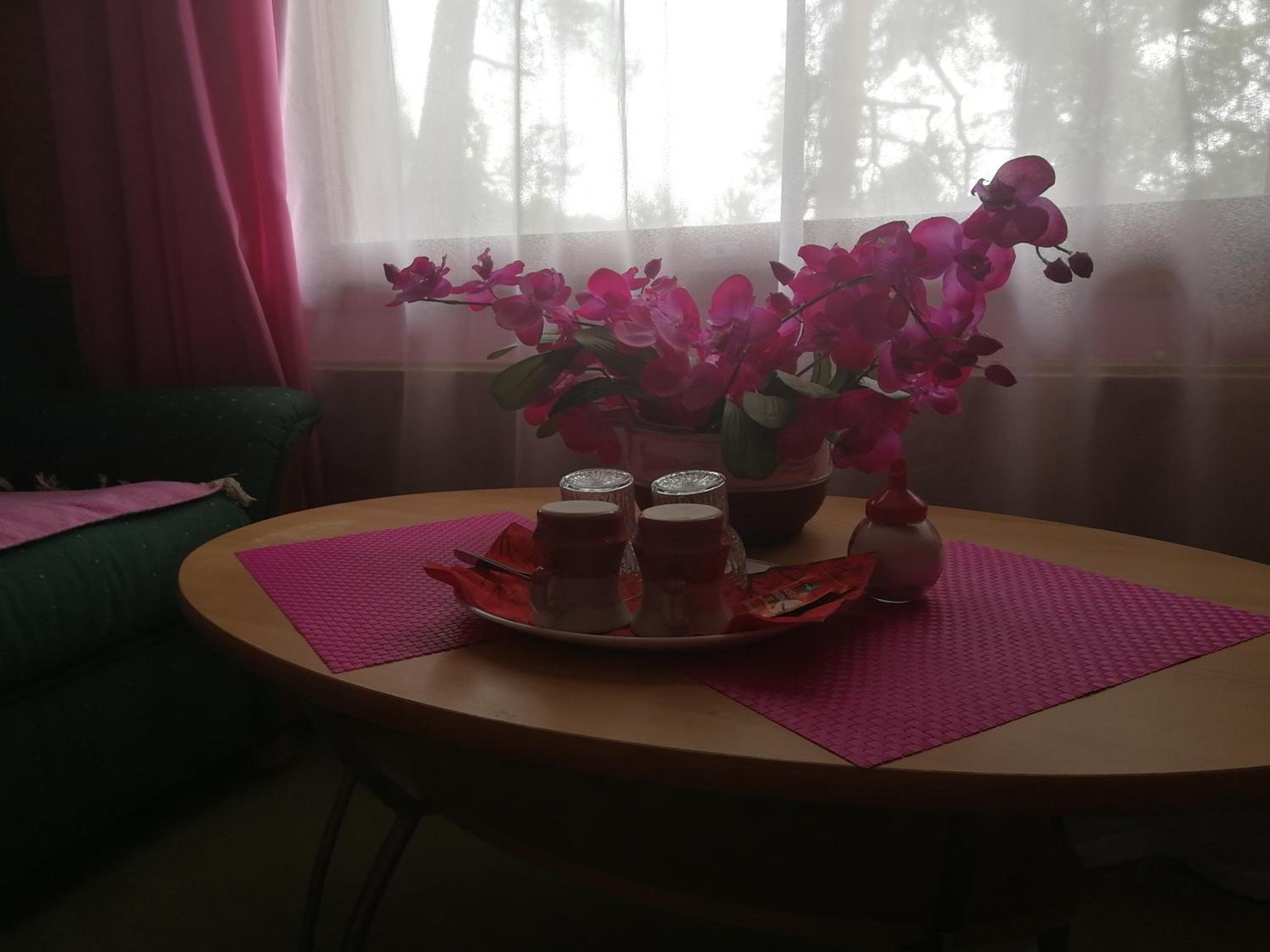 Standard Twin Room - Photo 16