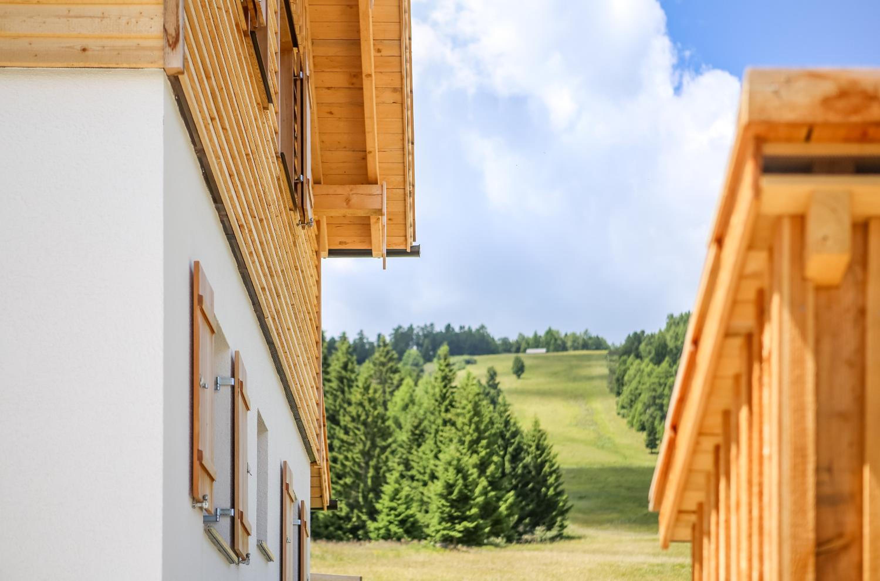 Three-Bedroom Chalet photo 2