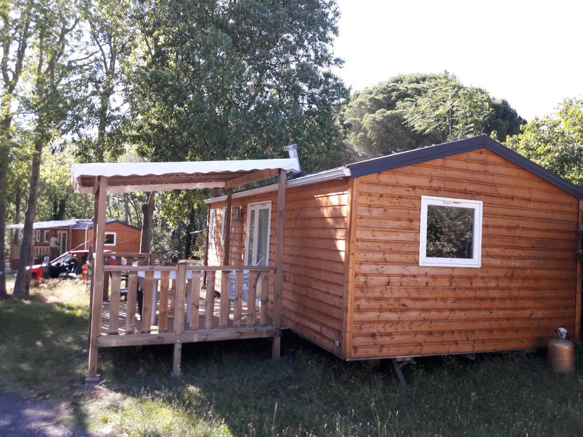 Mobile Home - Photo 7