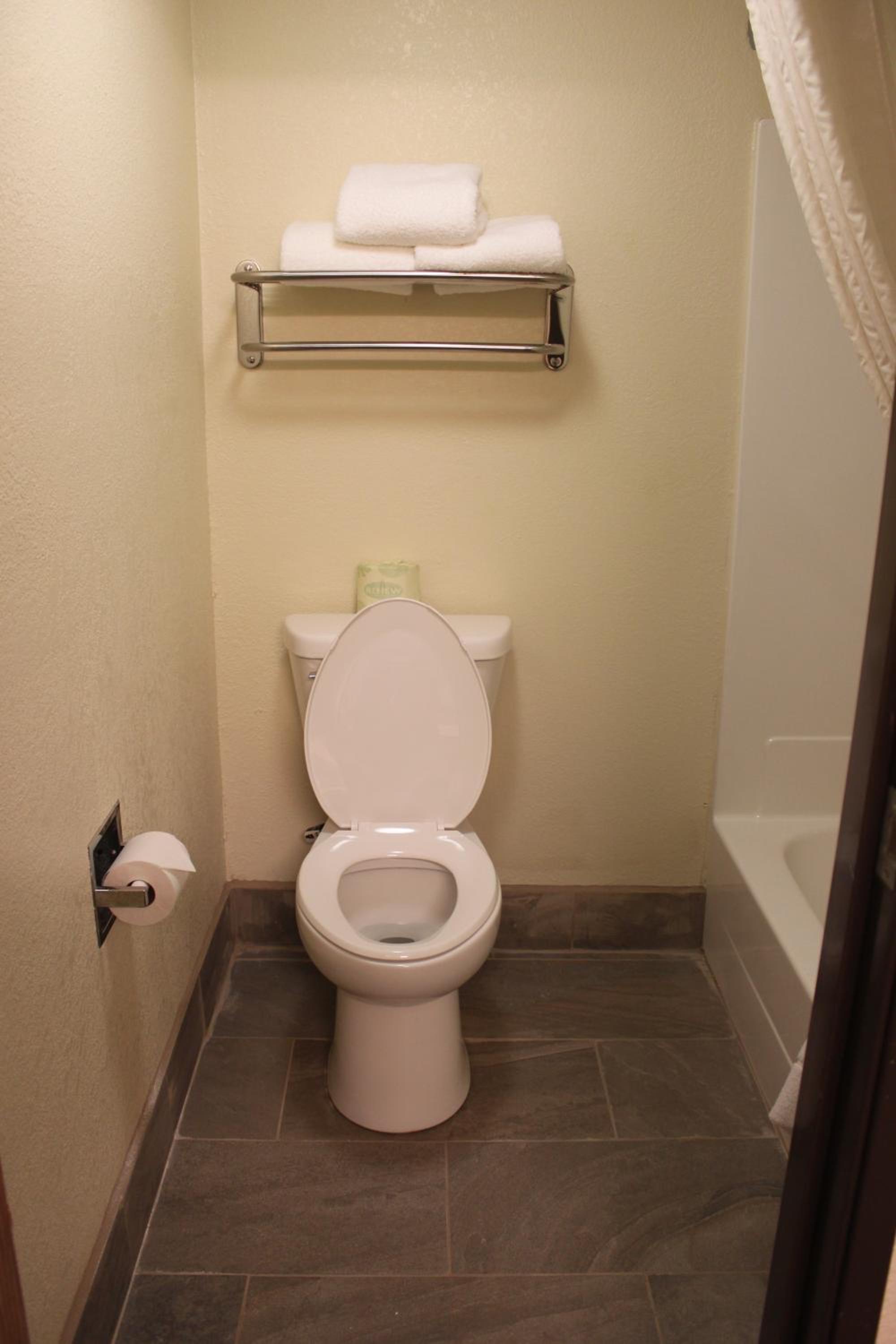 One-Bedroom Queen Suite - Non-Smoking - Photo 5