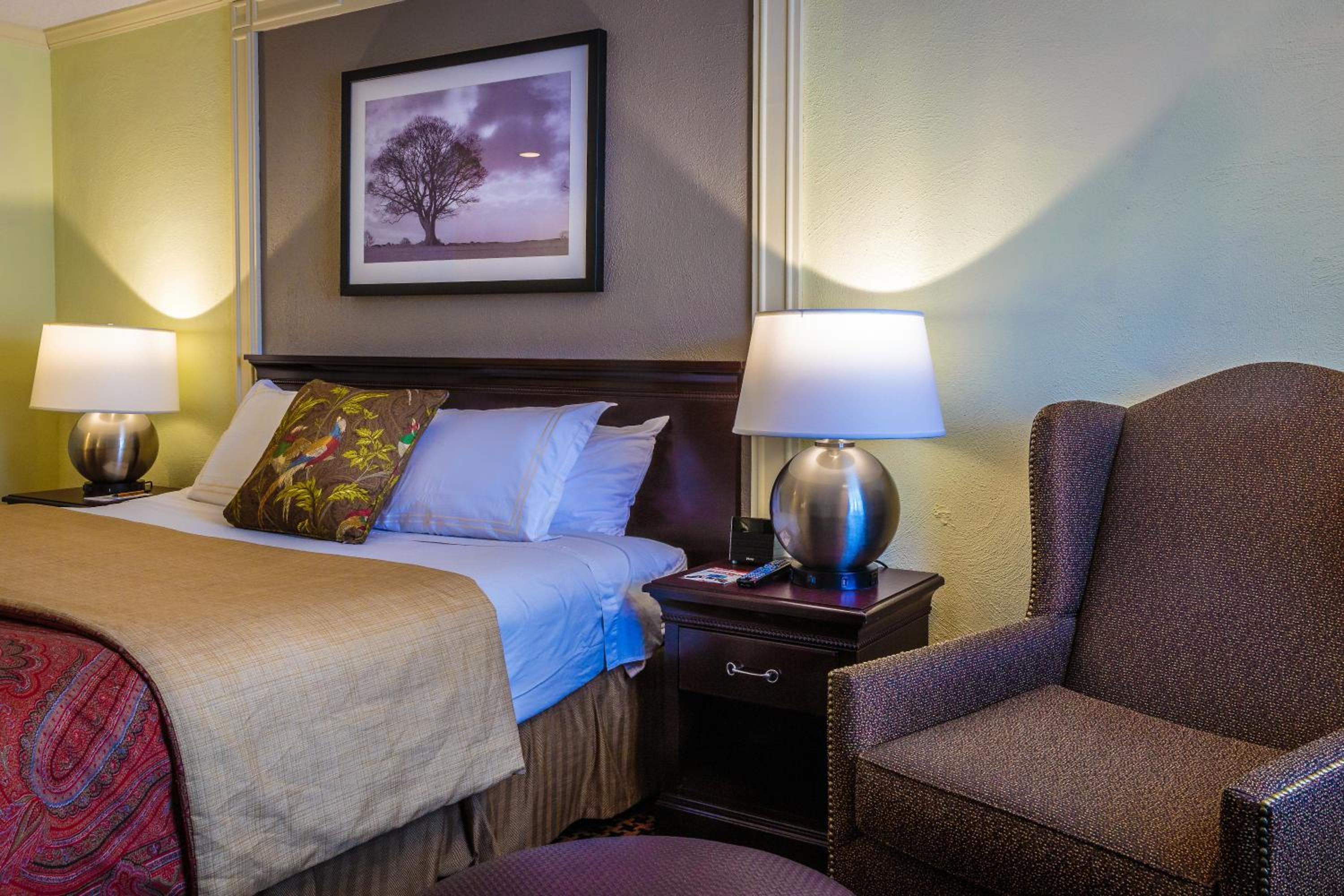 Standard King Room photo 3