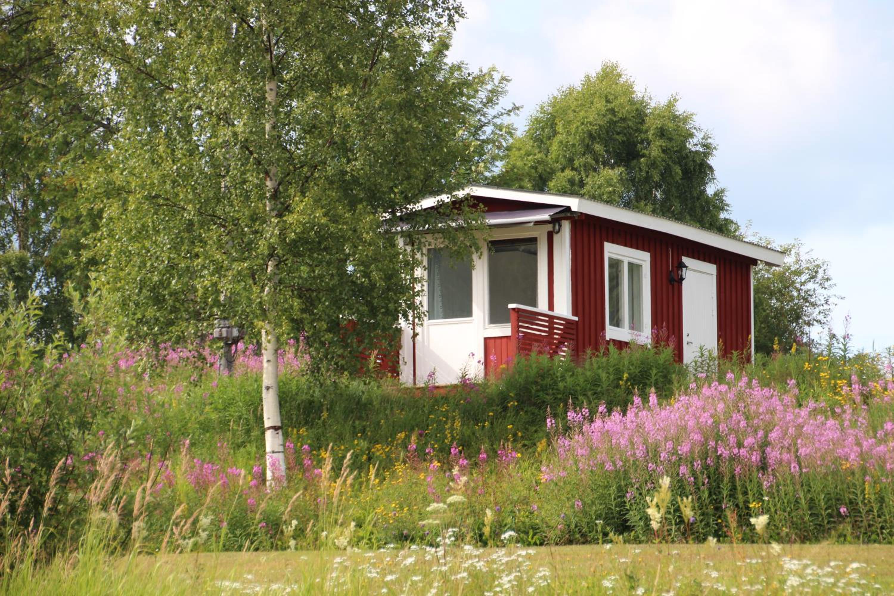 Superior Bungalow - Photo 1