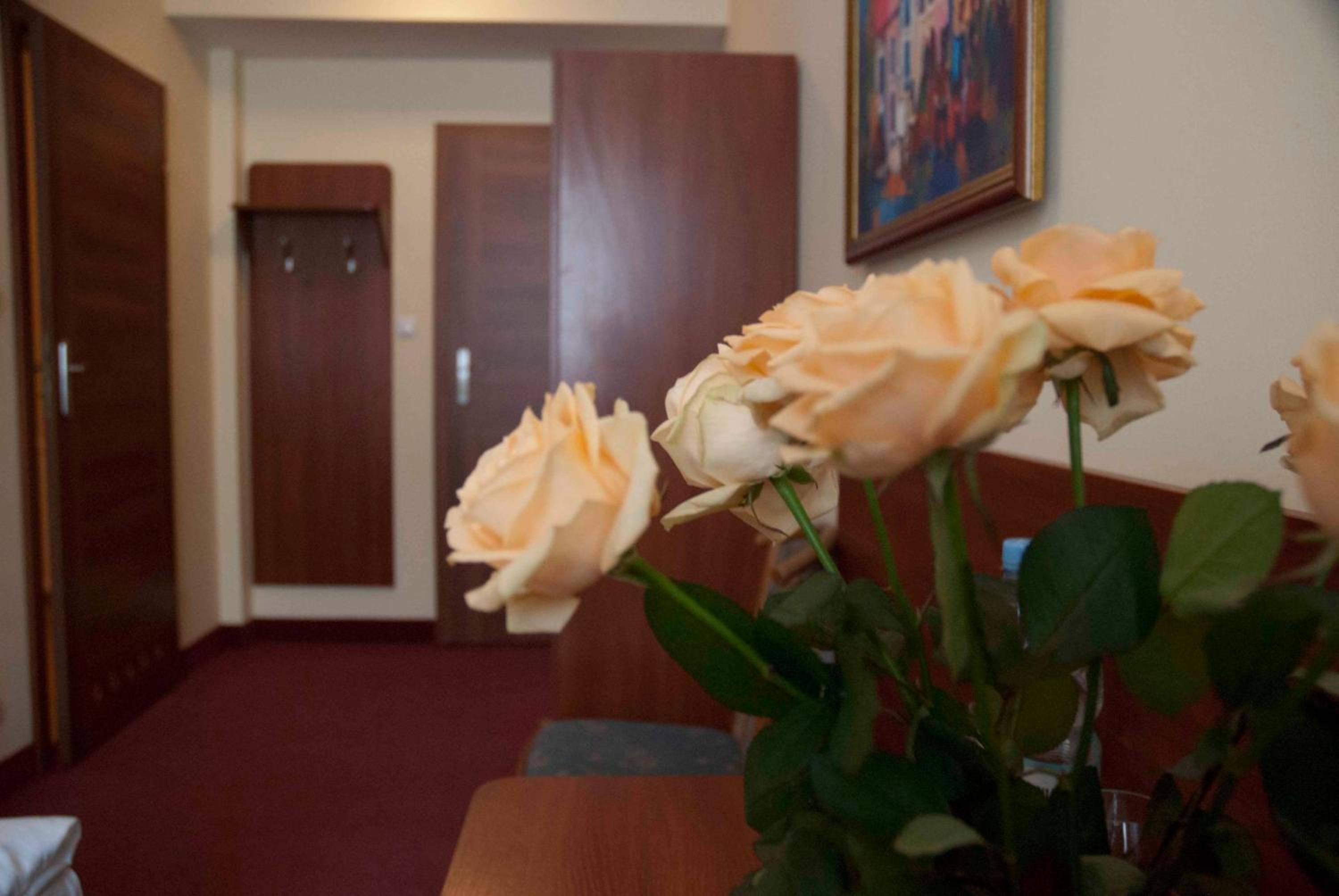 Quadruple Room - Photo 3