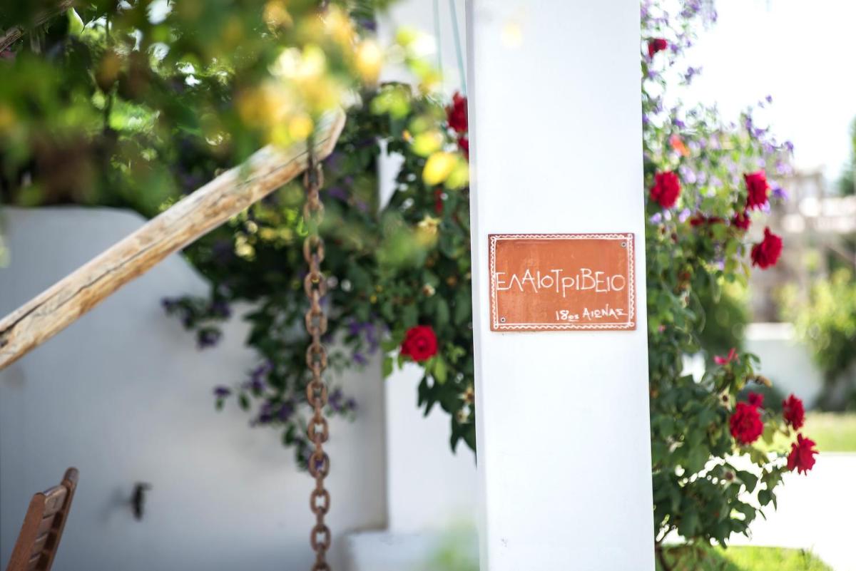 Maisonette photo 3