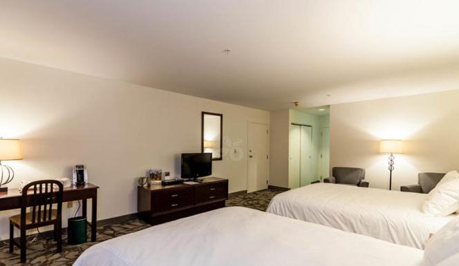 Standard Queen Room with Two Queen Beds photo 3