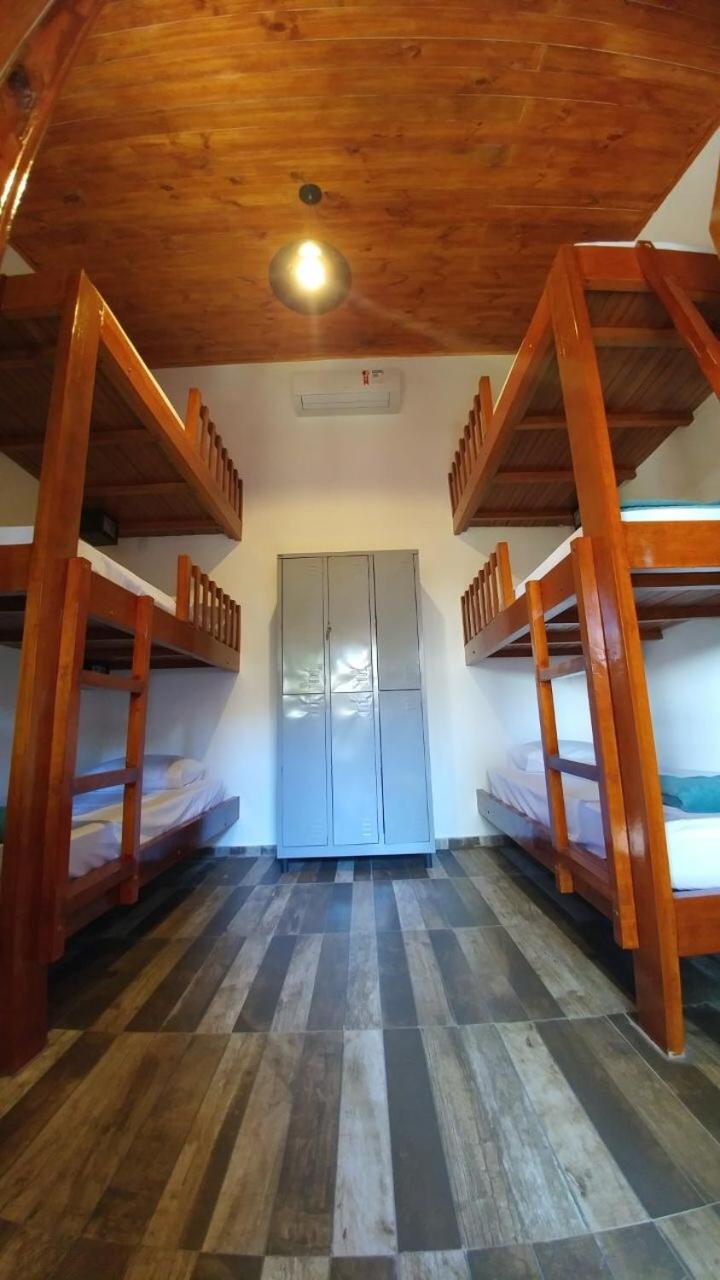 Bunk Bed in Mixed Dormitory Room photo 1
