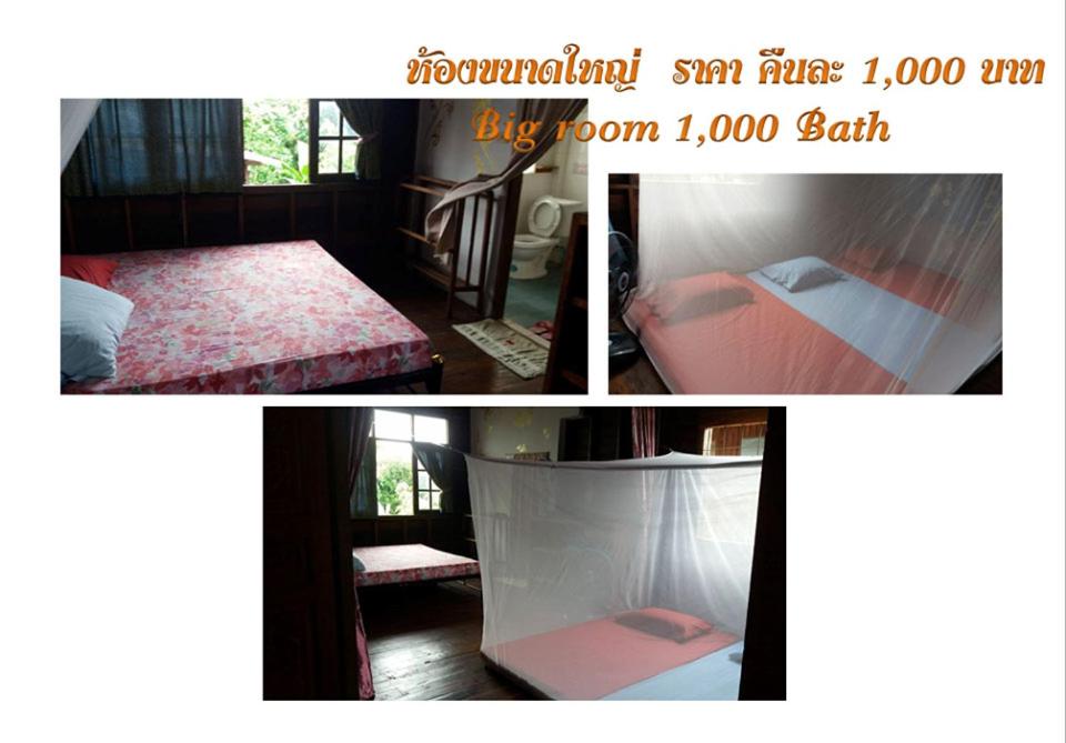 Family Room with Shower and Fan