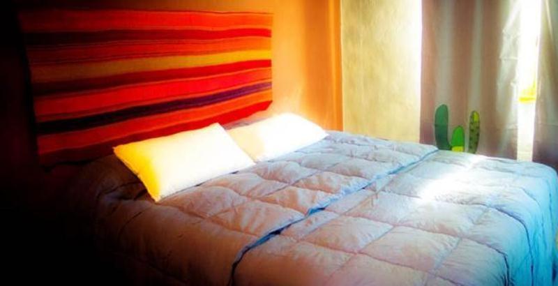 Double or Twin Room photo 1