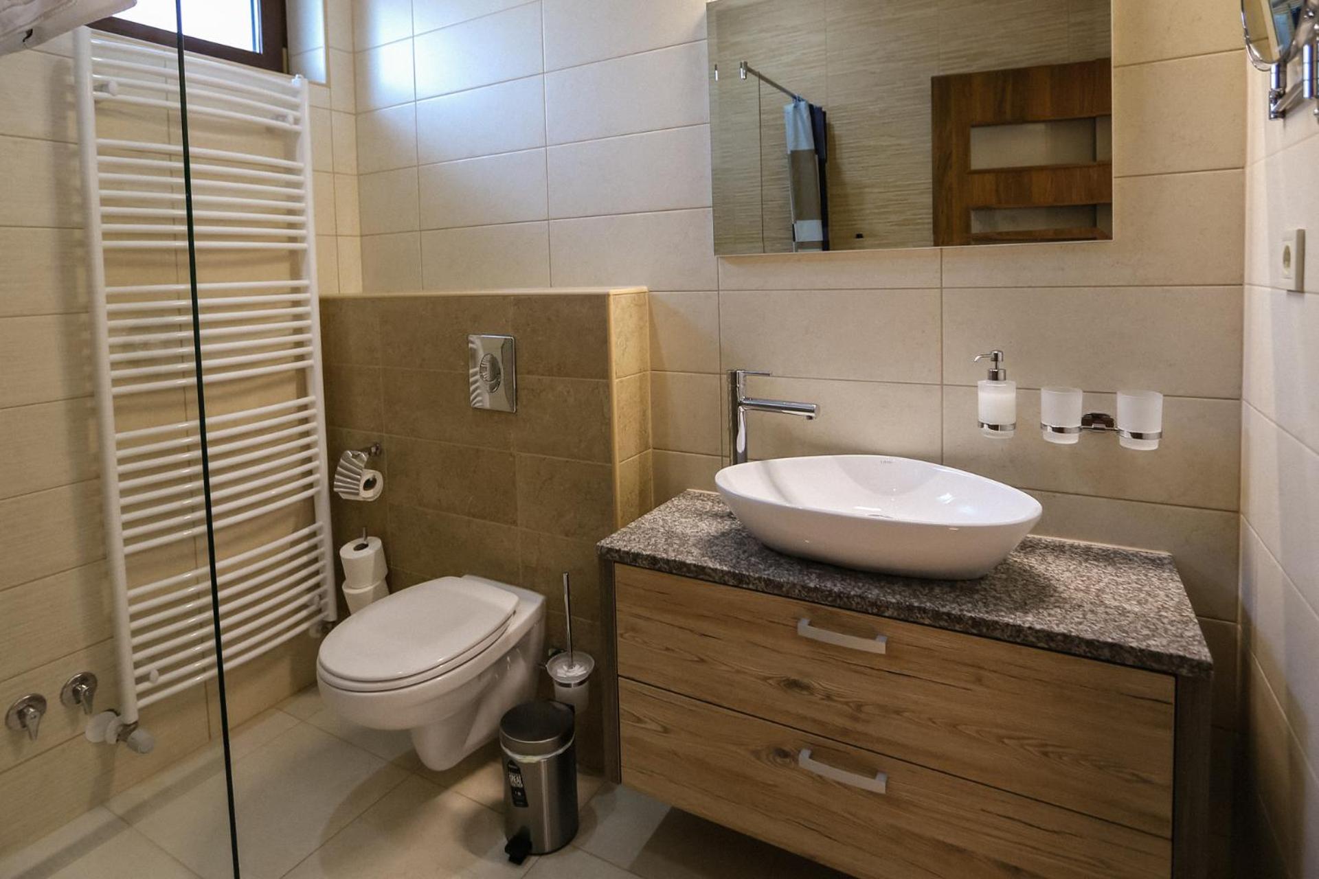 Deluxe Double or Twin Room photo 3