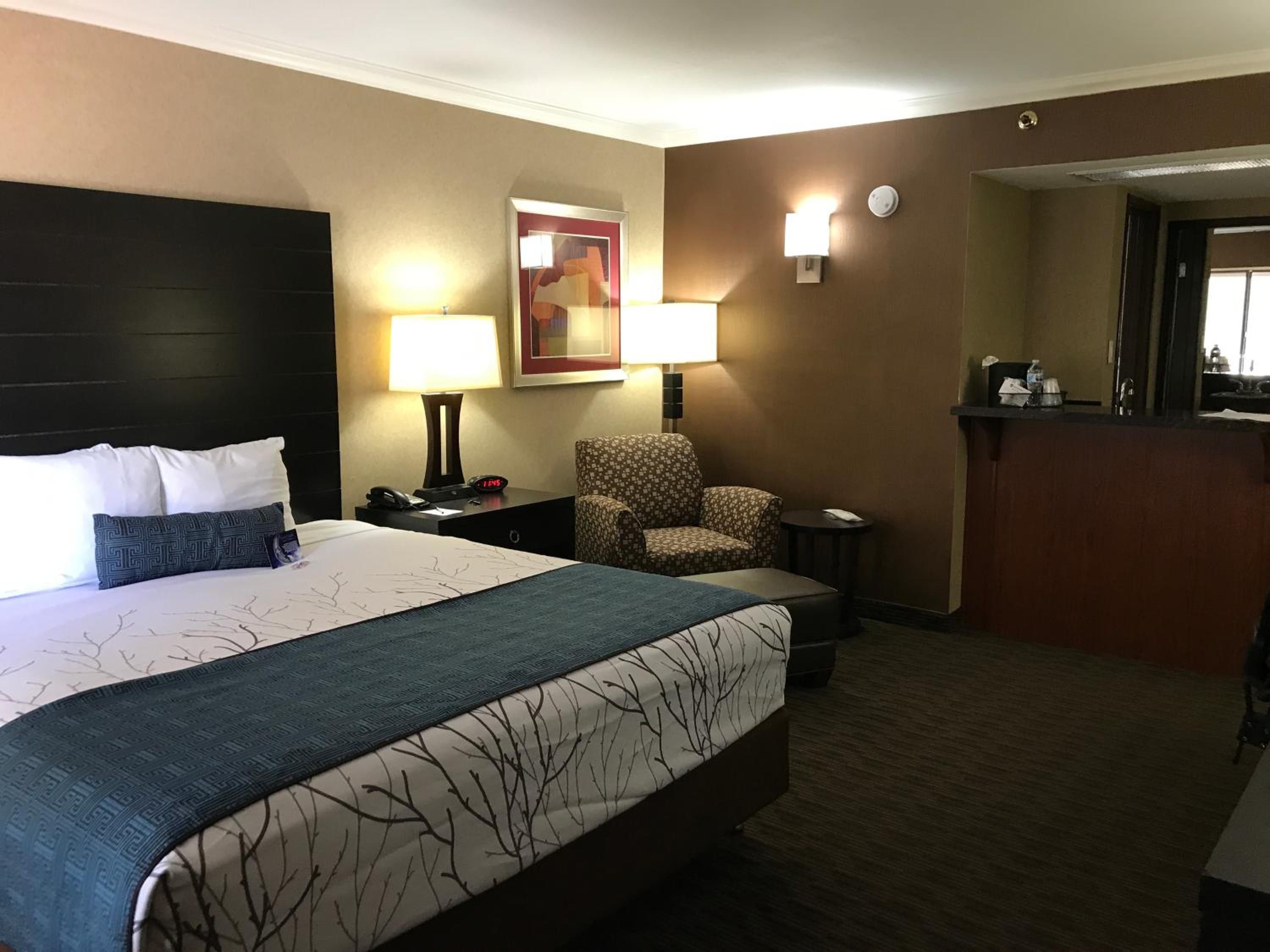 King Room - Non-Smoking - Photo 7
