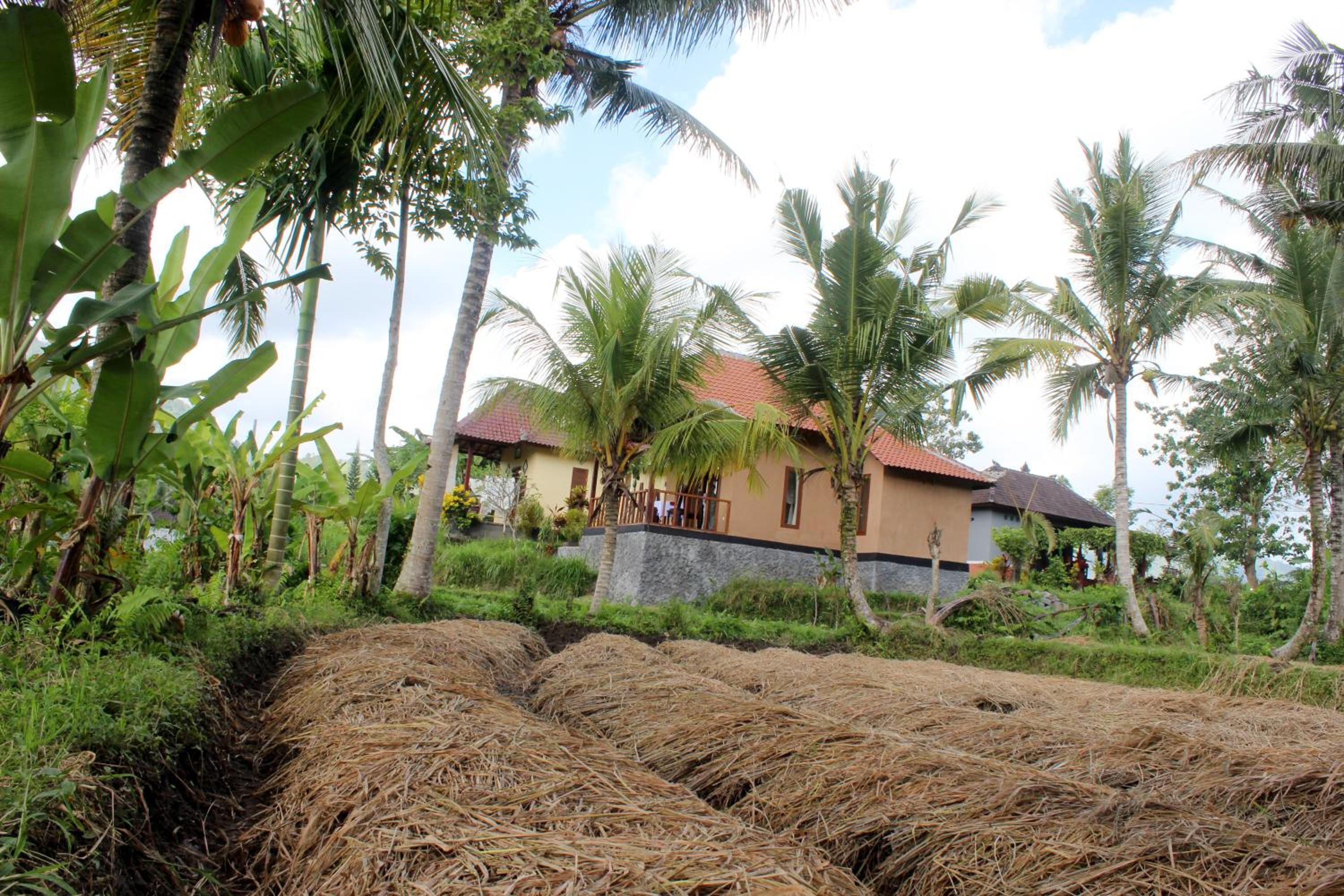 Standard Villa - Photo 3