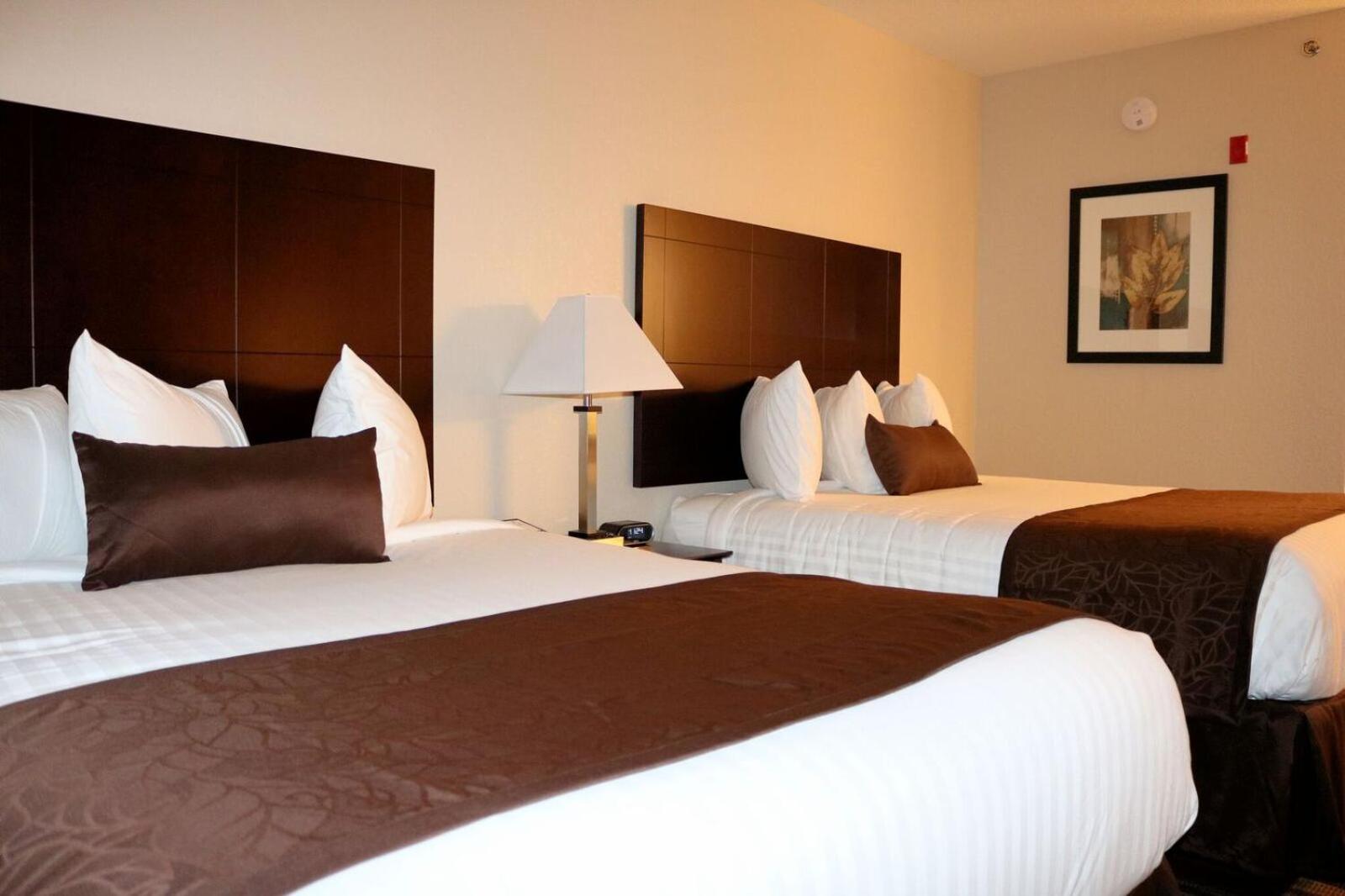 Queen Room with Two Queen Beds photo 2
