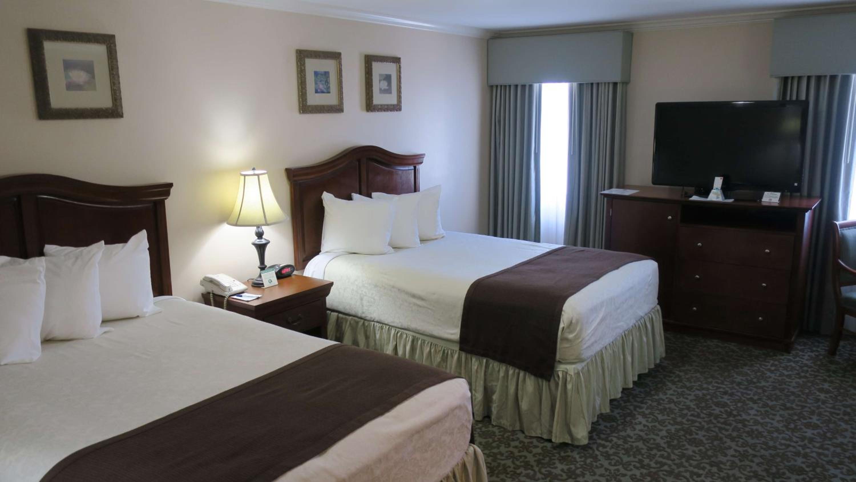 Double Room with Two Double Beds and Roll-In Shower - Disability Access photo 1