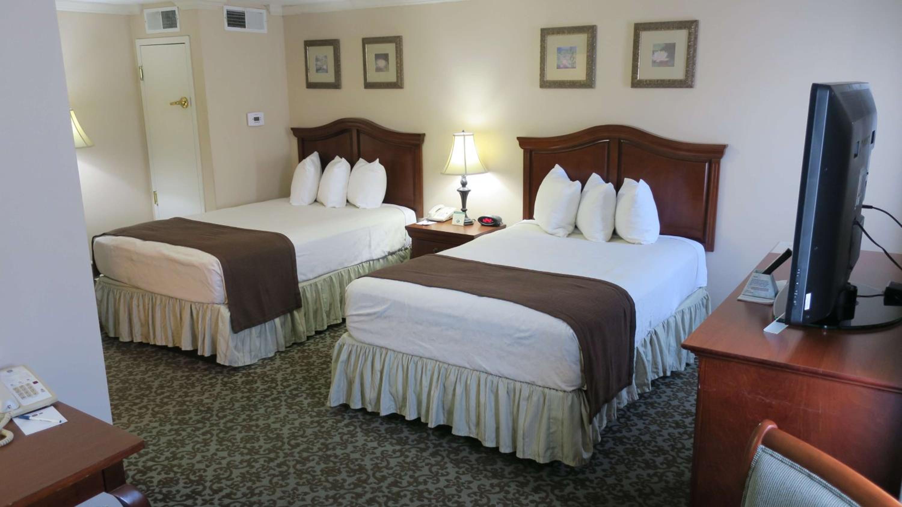 Double Room with Two Double Beds and Roll-In Shower - Disability Access photo 2