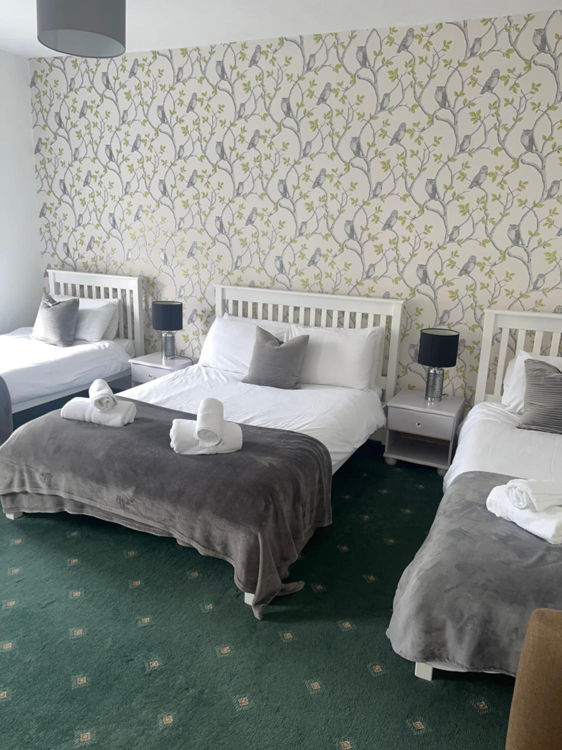 Basic Triple Room with Shared Bathroom