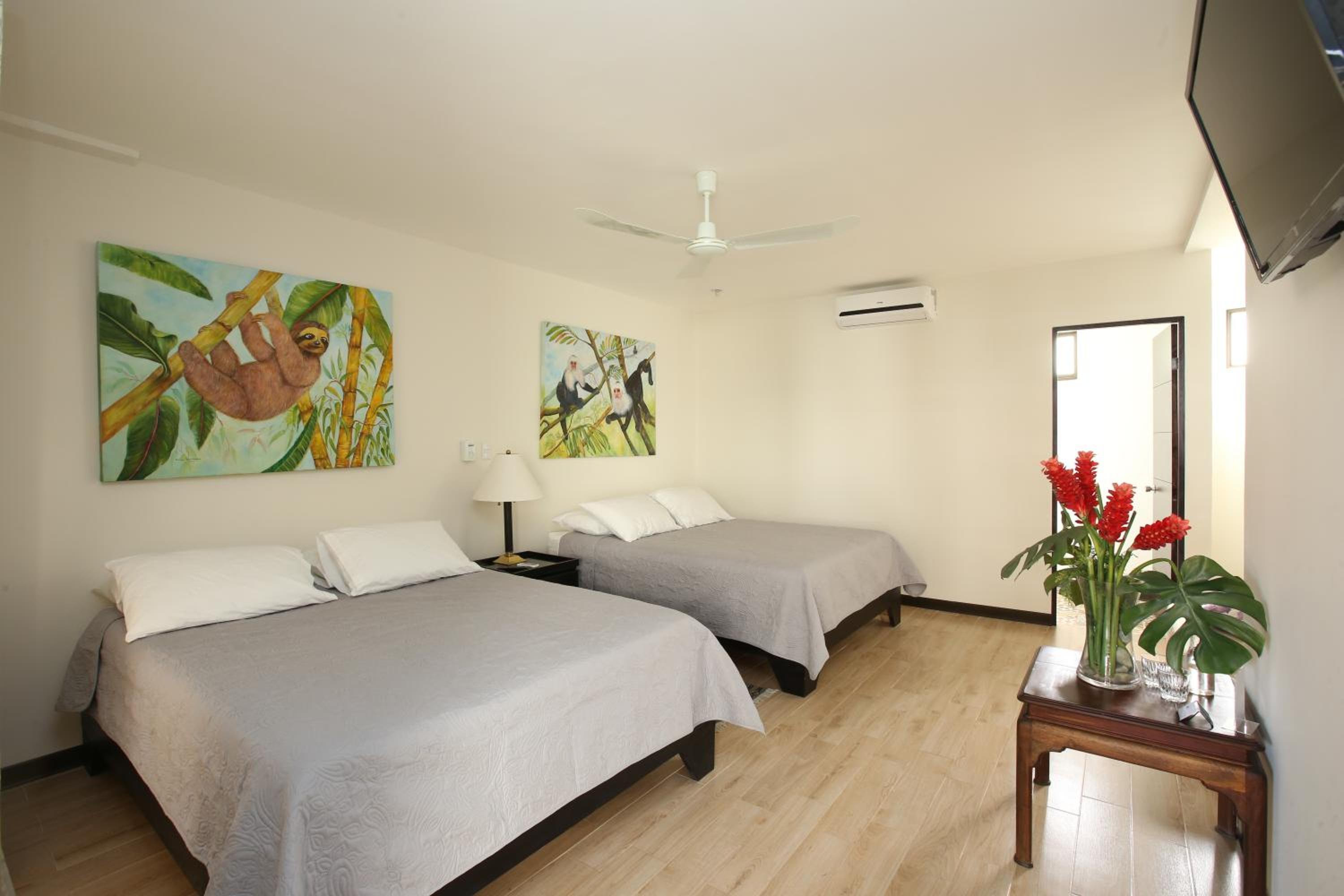 Double Room with Terrace photo 1