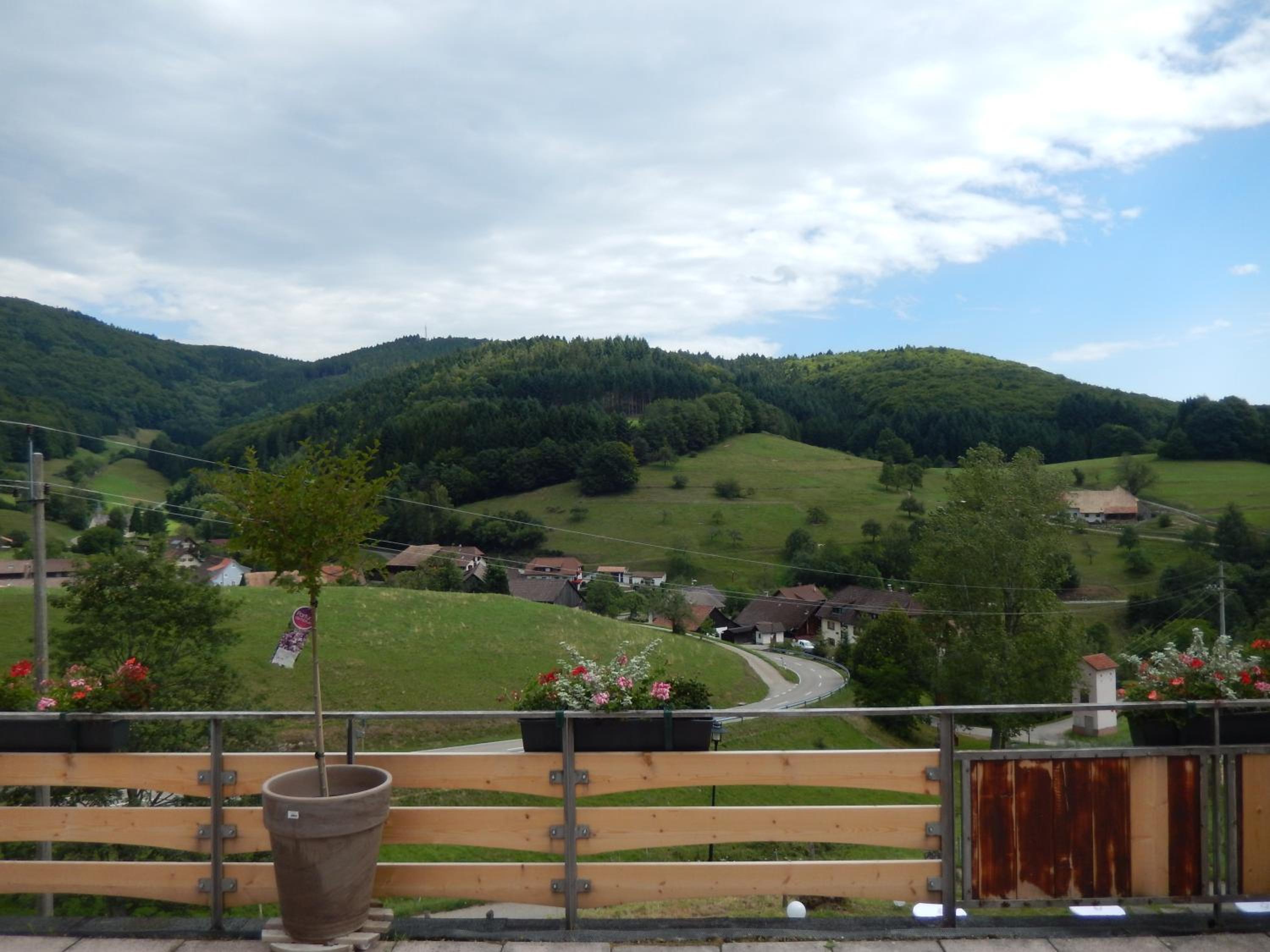 Deluxe Double Room with Balcony photo 3