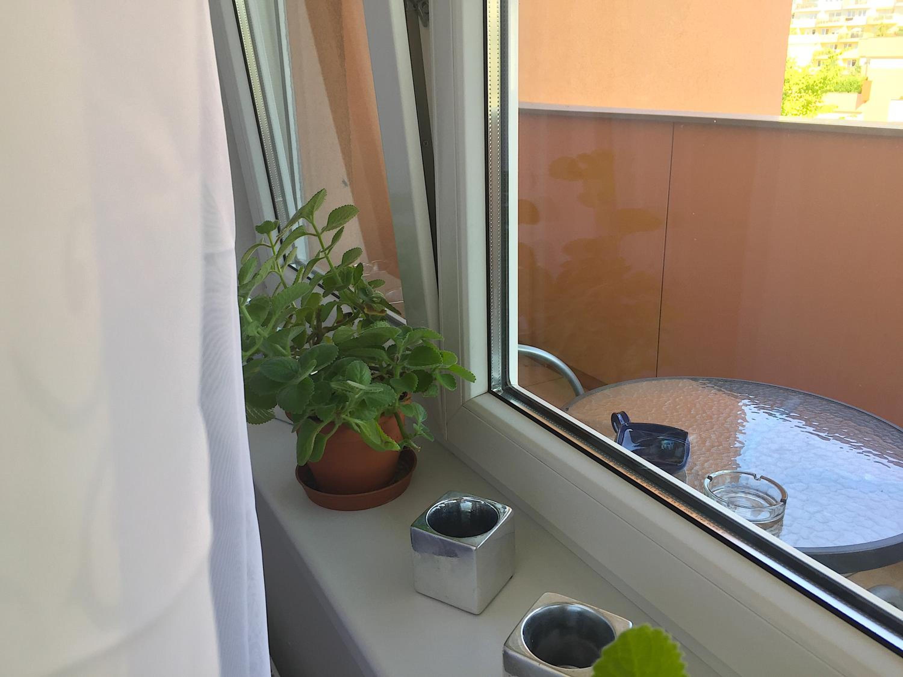 Apartment with Balcony photo 3
