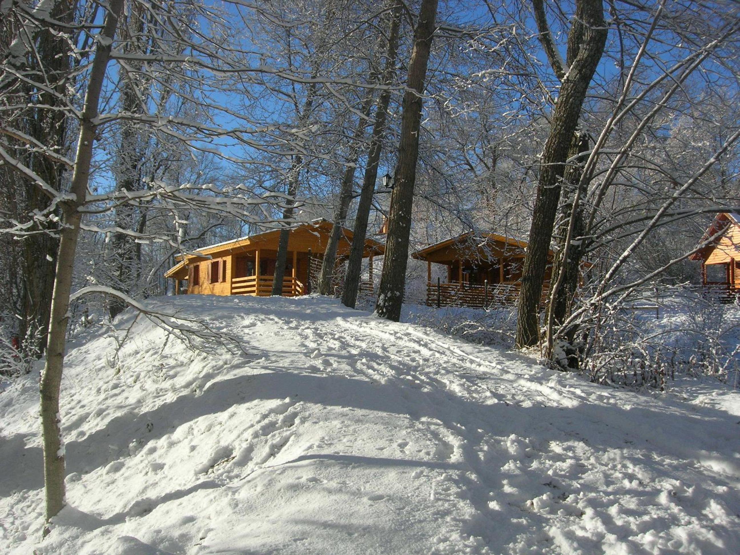 Chalet with Mountain View - Photo 36