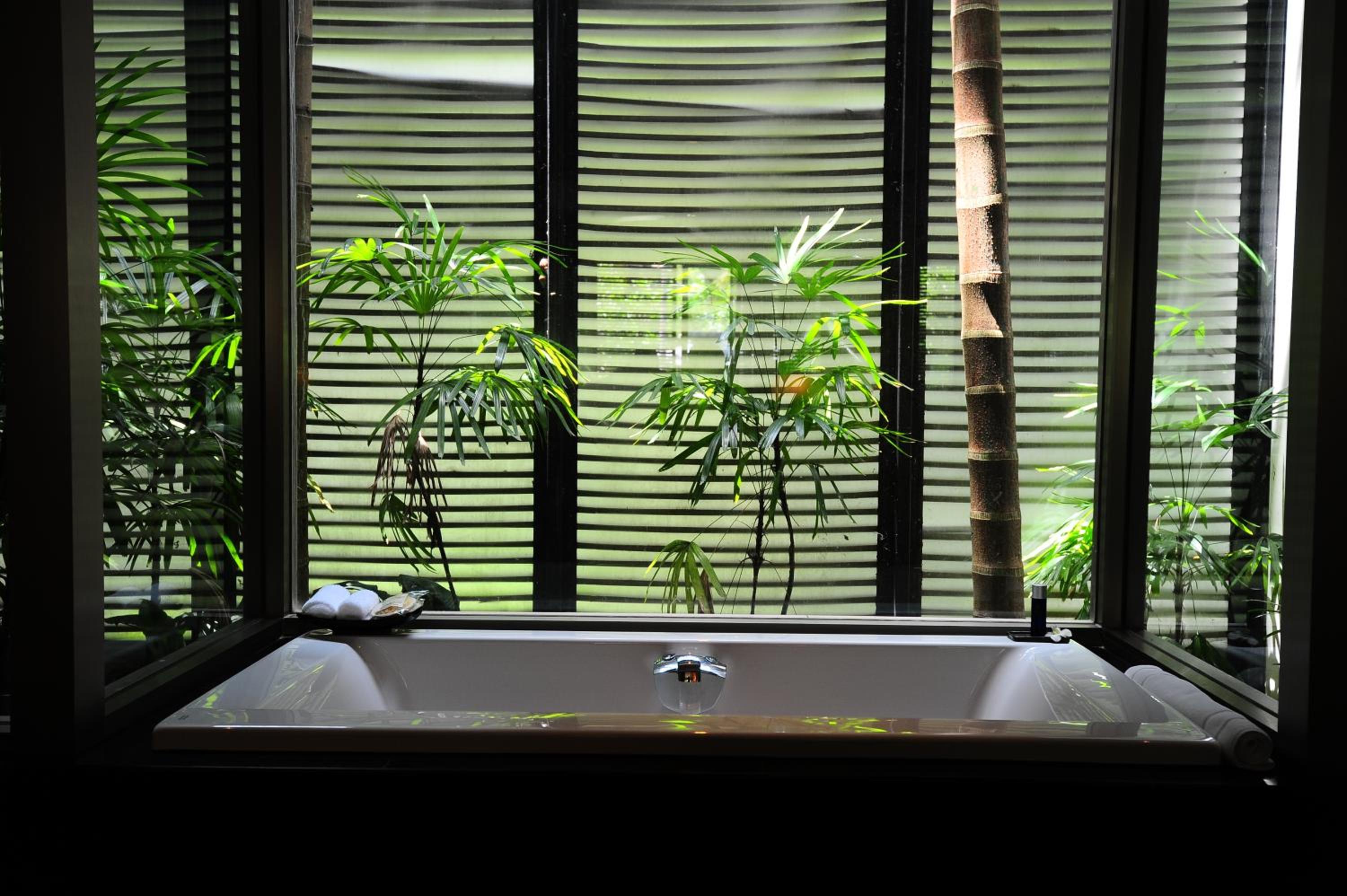 Palm Premium - Photo 2