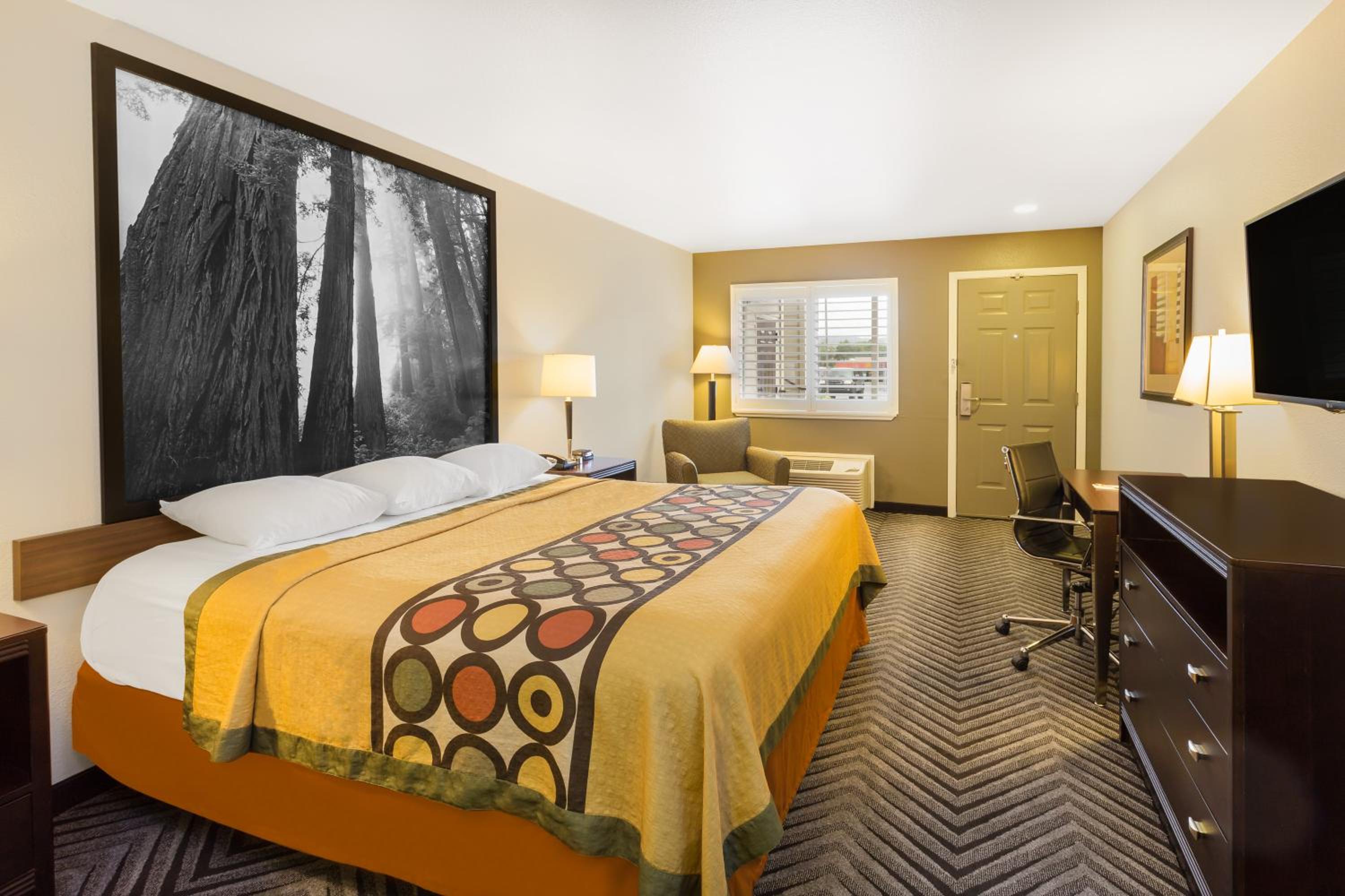 King Room - Non-Smoking - Photo 1