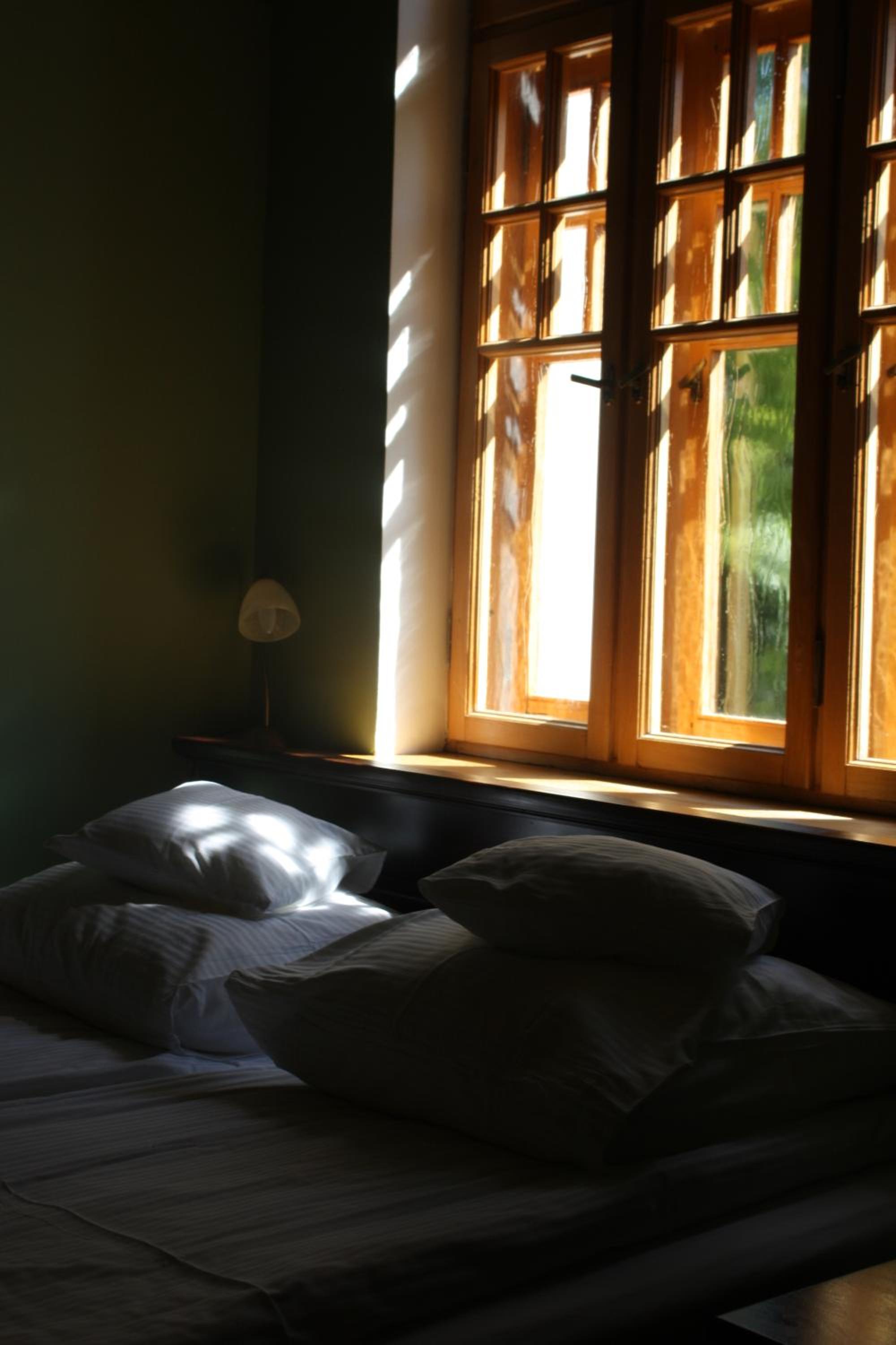 Suite - Photo 1