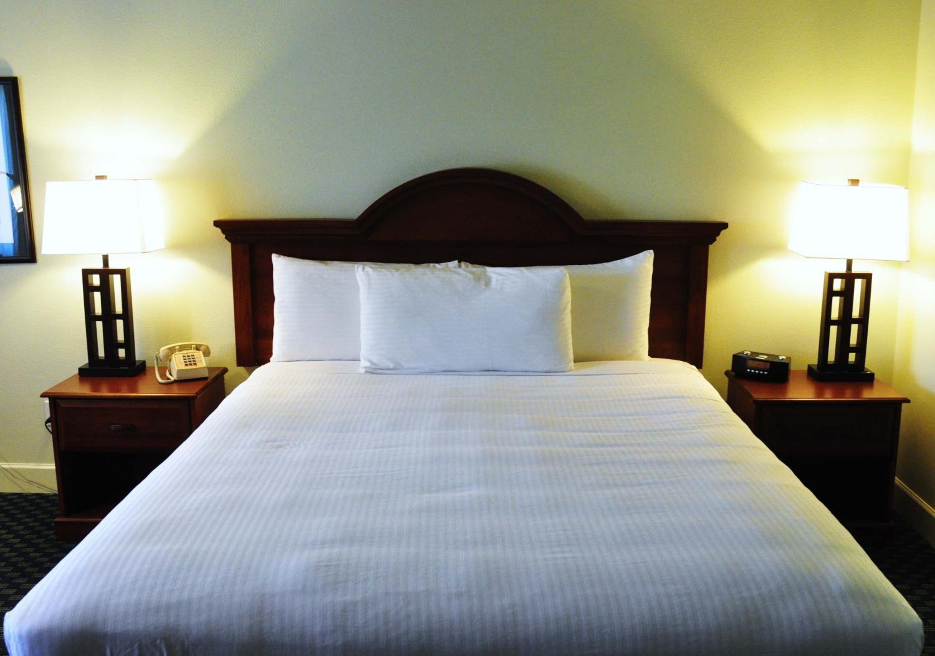 King Suite Sea View - Pet Friendly - Photo 1