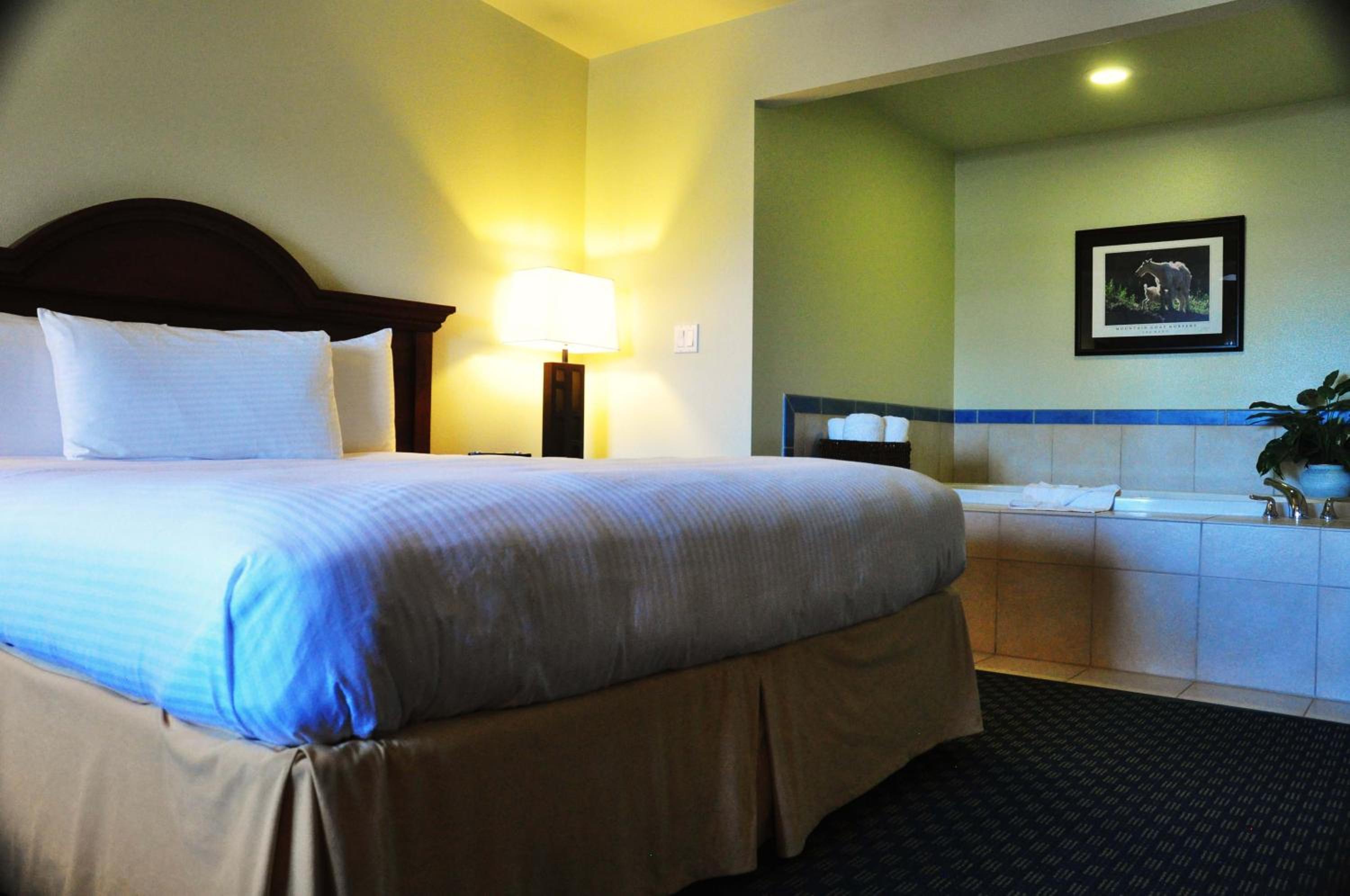 King Suite Sea View - Pet Friendly - Photo 2