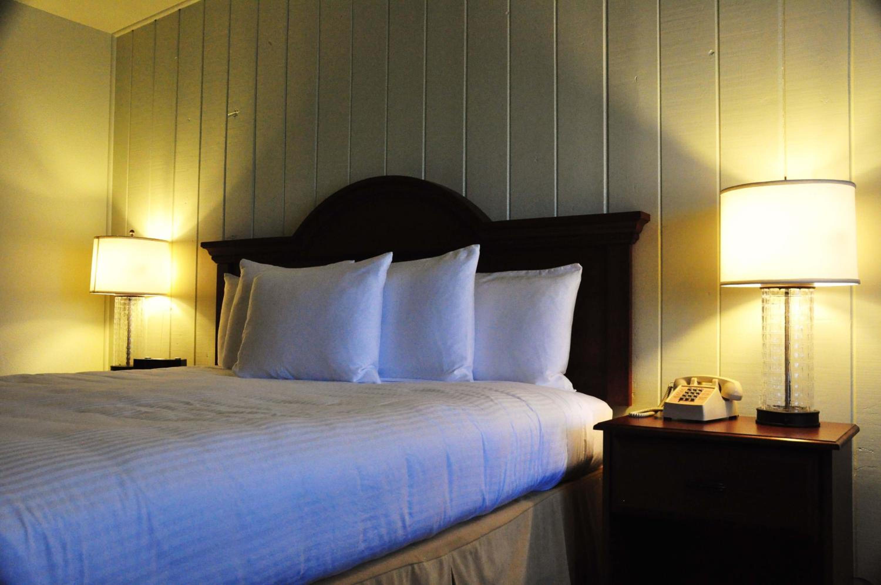 King Suite Sea View - Pet Friendly - Photo 4