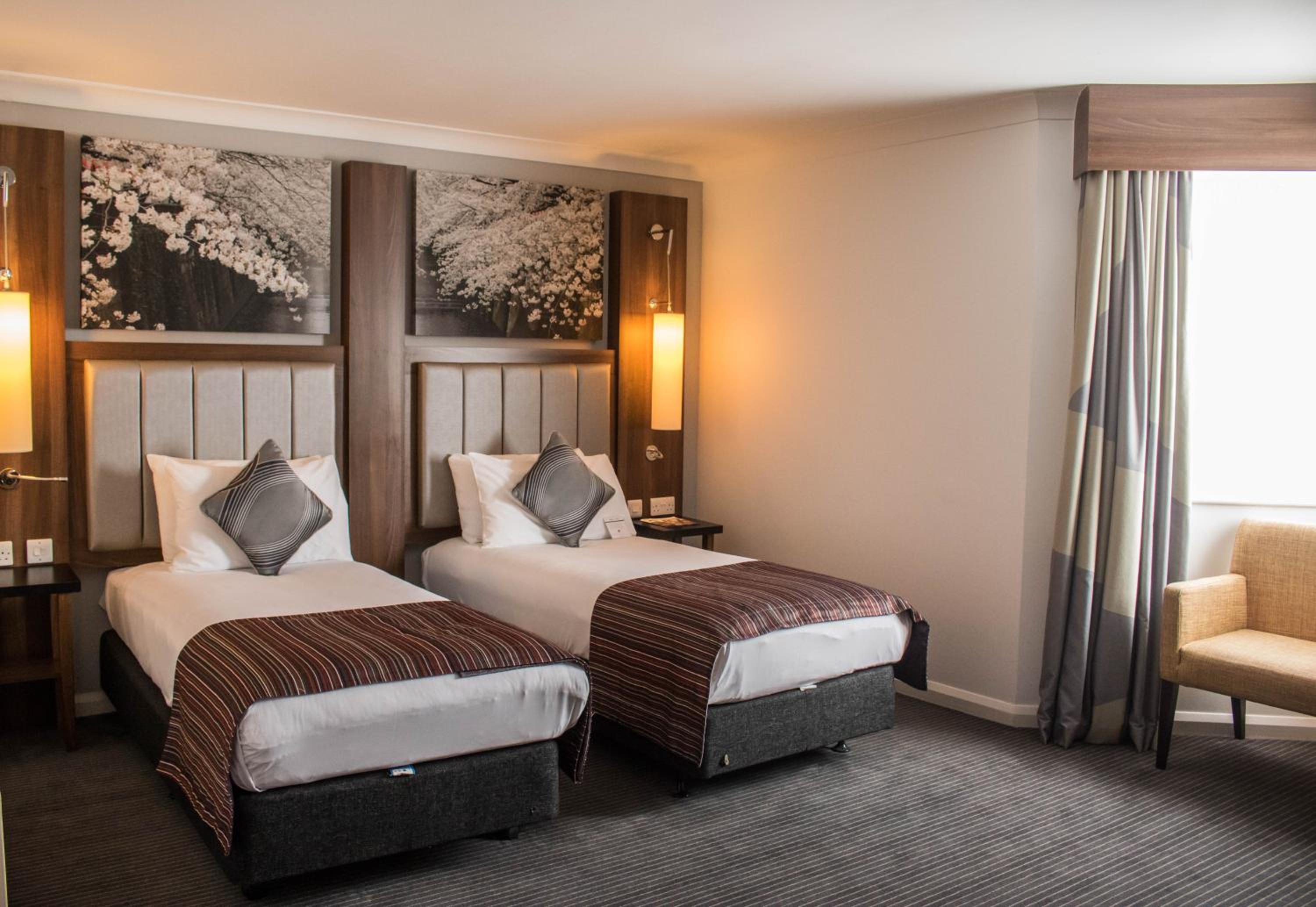 Standard Twin Room photo 3
