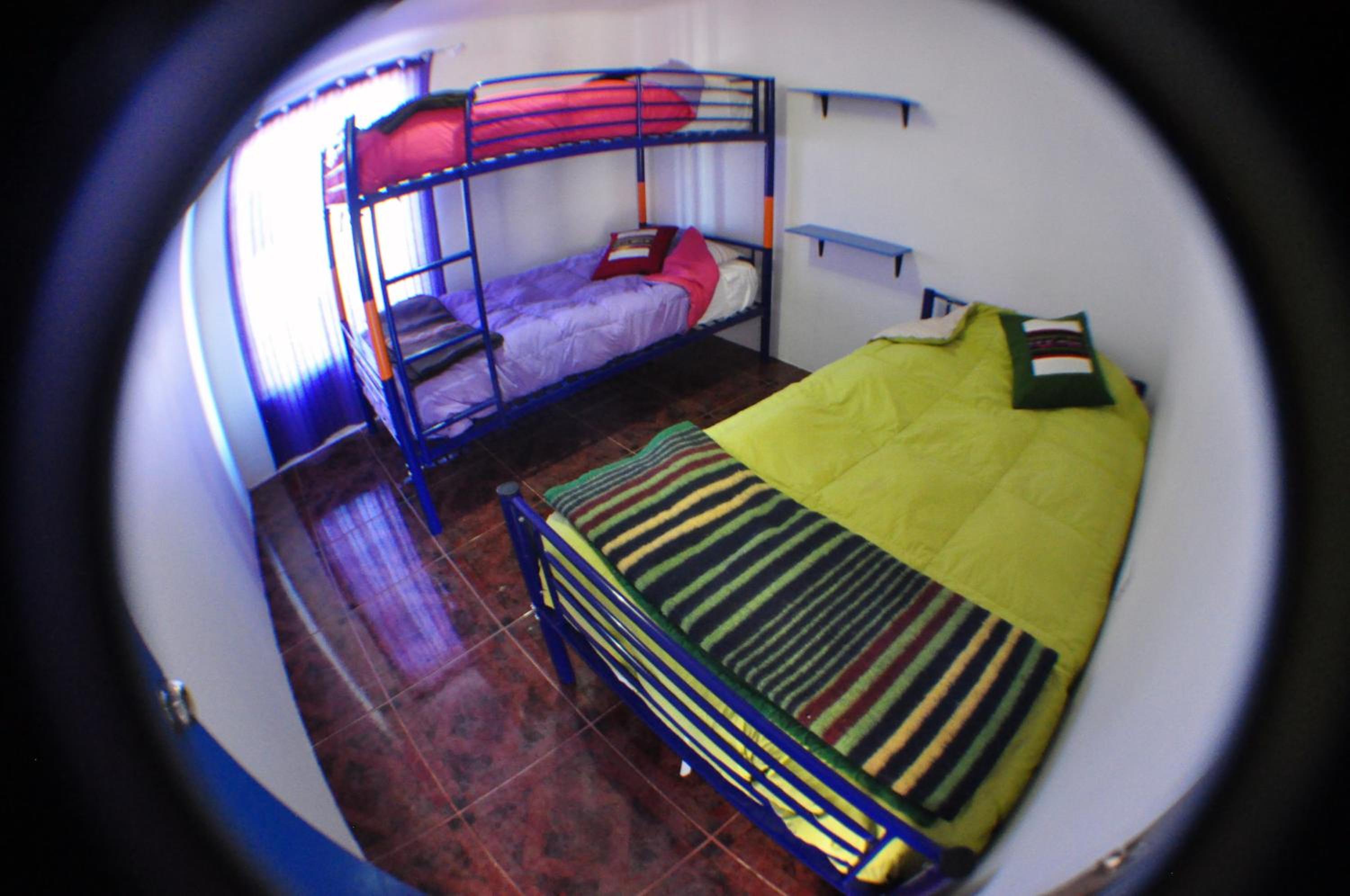 Single Bed in Mixed Dormitory Room photo 1