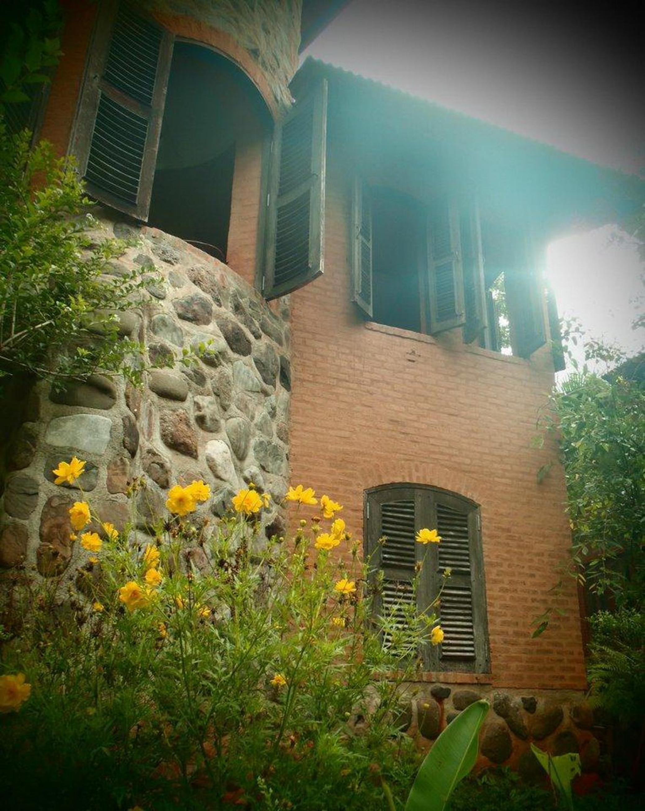 One-Bedroom House photo 3