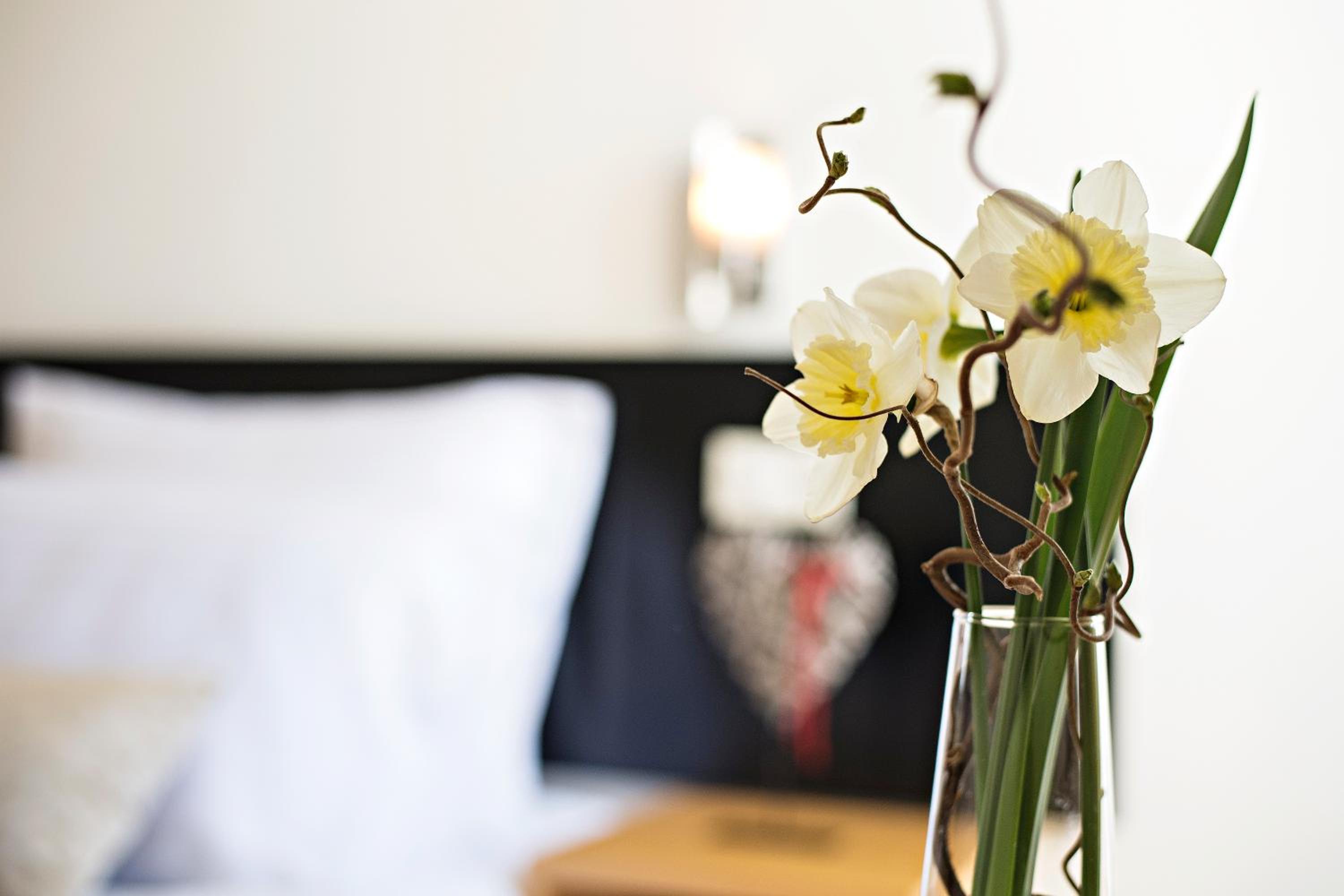 Special Offer - Standard Double Room with Spa Package  photo 2