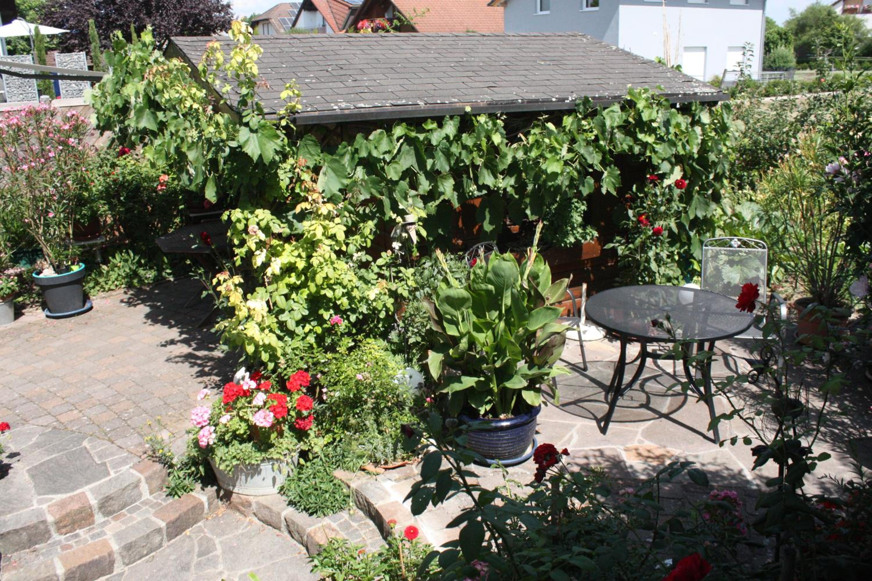 One-Bedroom Apartment with Garden View photo 3