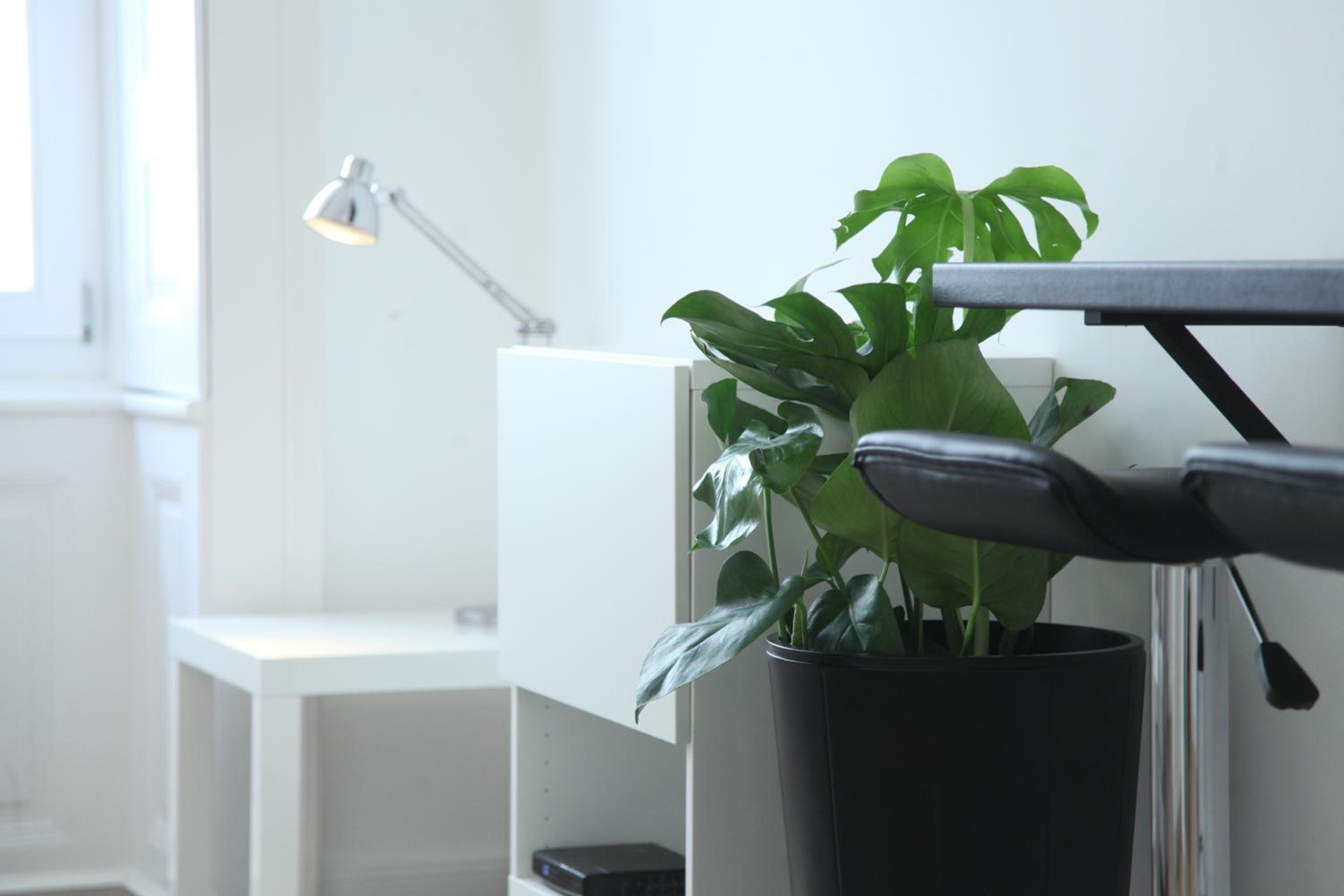 Studio Apartment - Photo 2