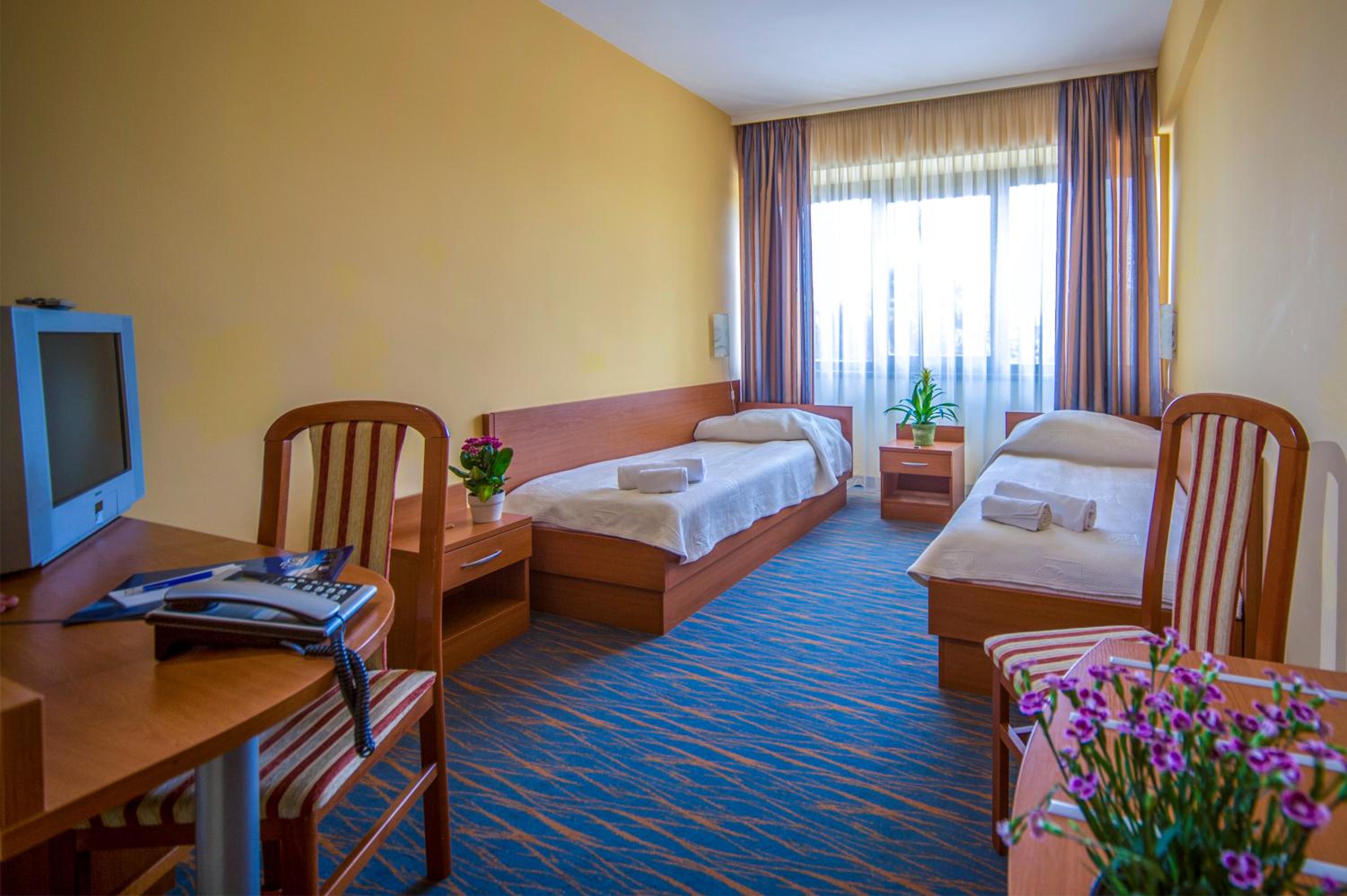 Twin Room photo 3