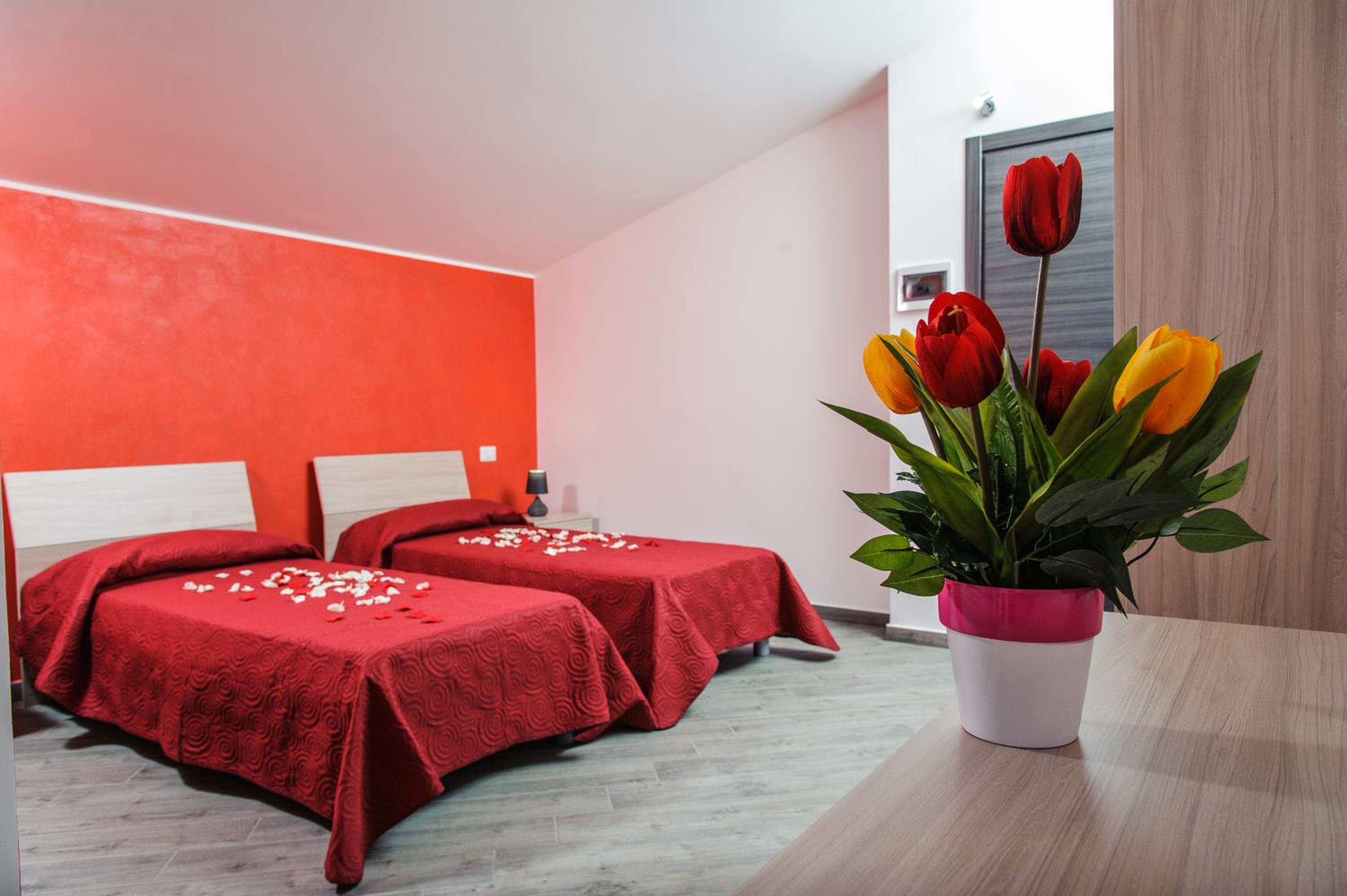 Double or Twin Room photo 2