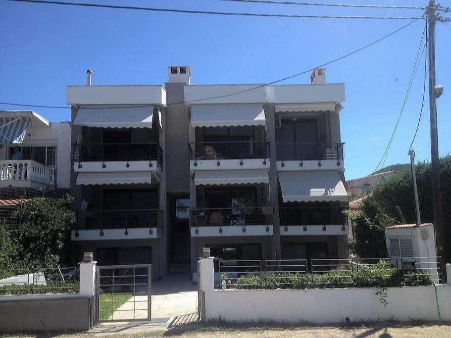 Vacation Home photo 3