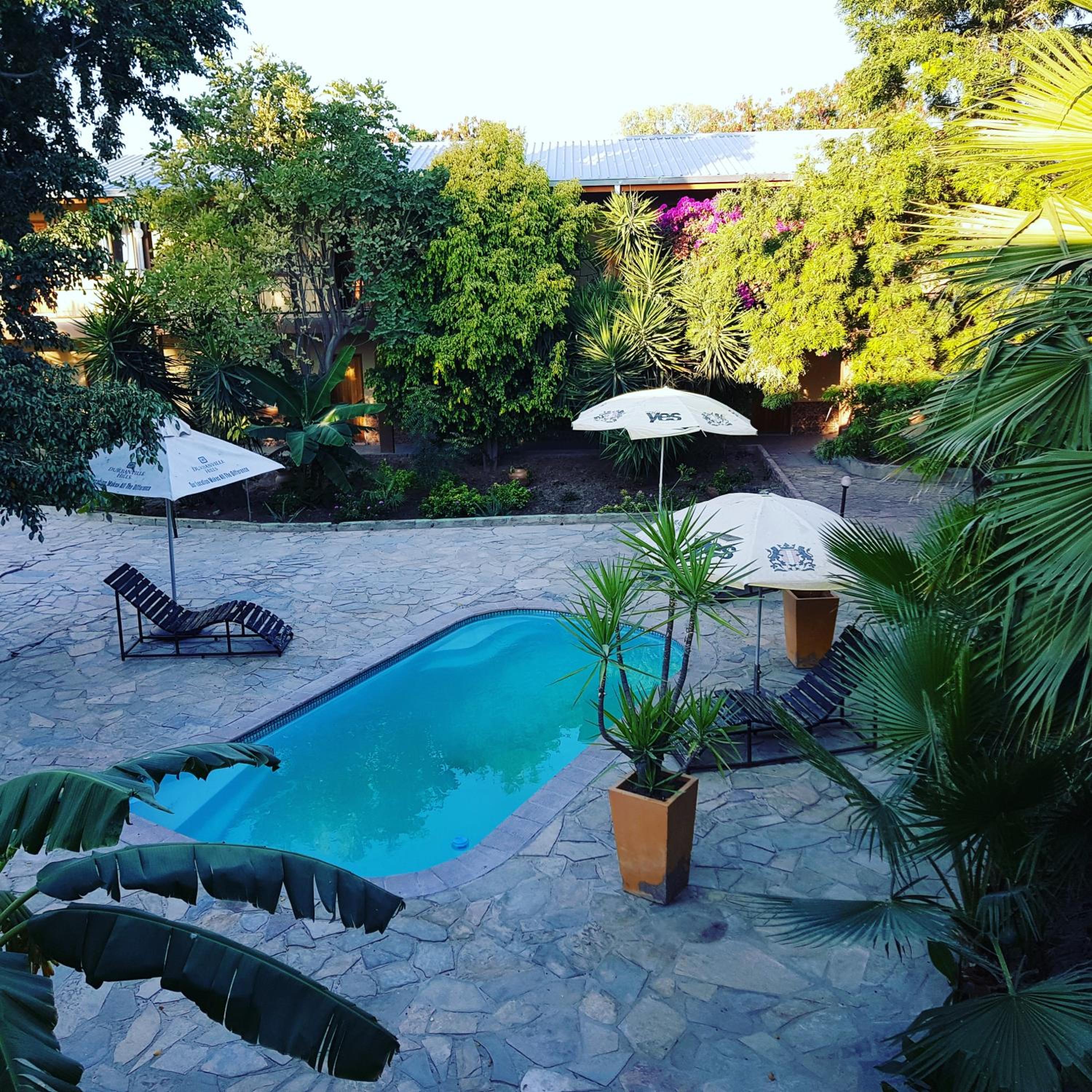 Double Room with Pool View photo 2