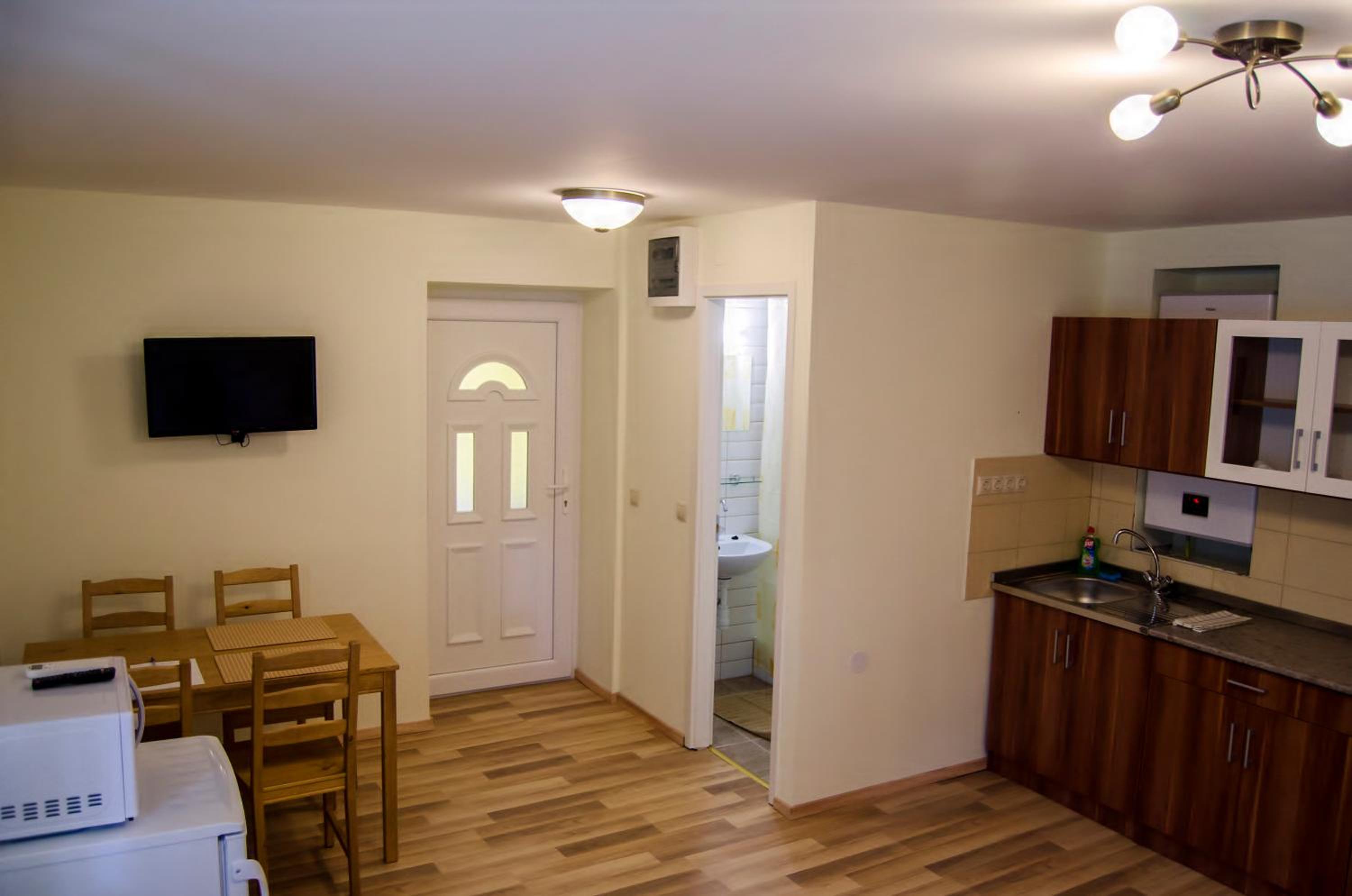 One-Bedroom Apartment photo 3