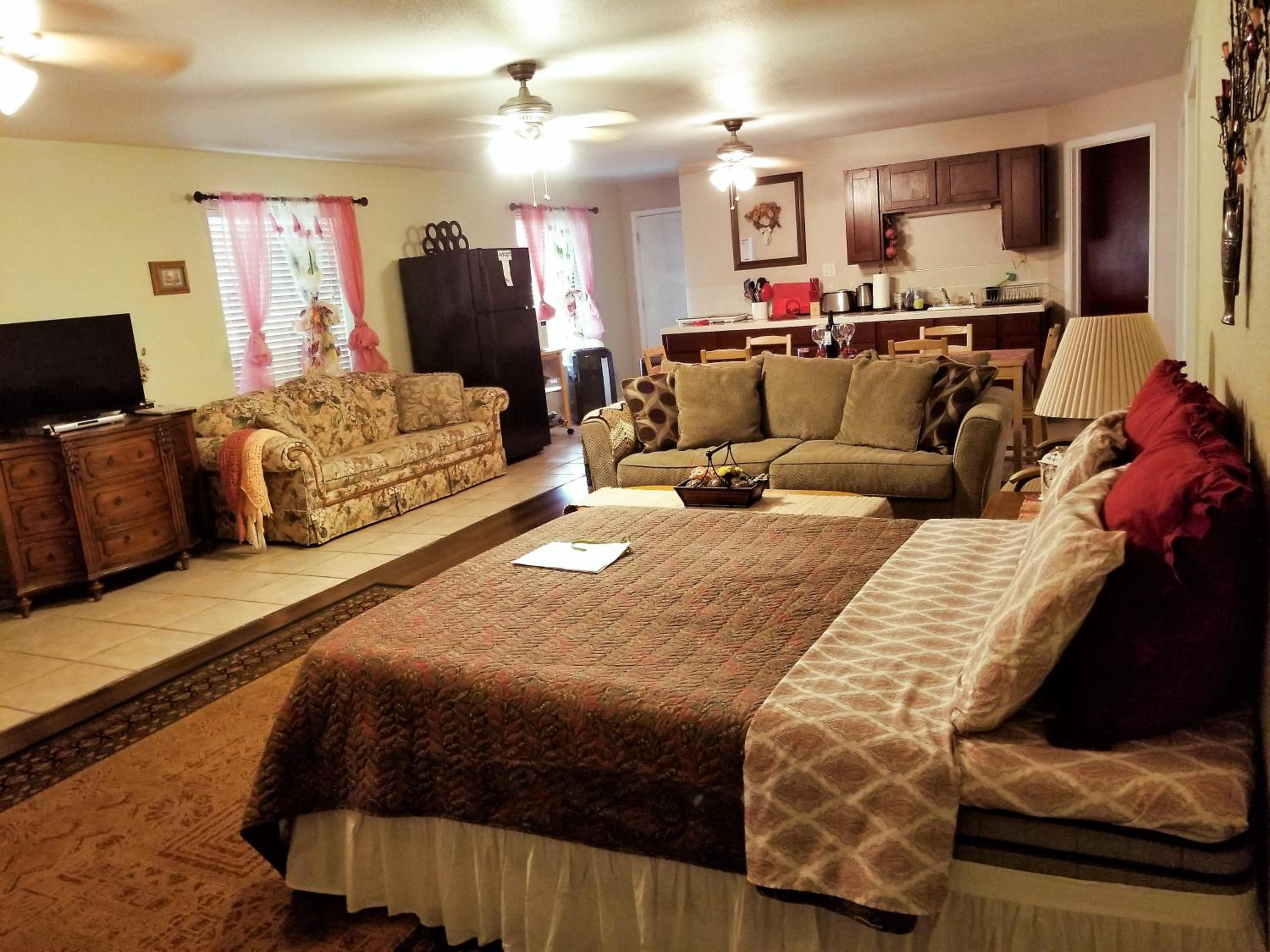 One-Bedroom Apartment photo 1